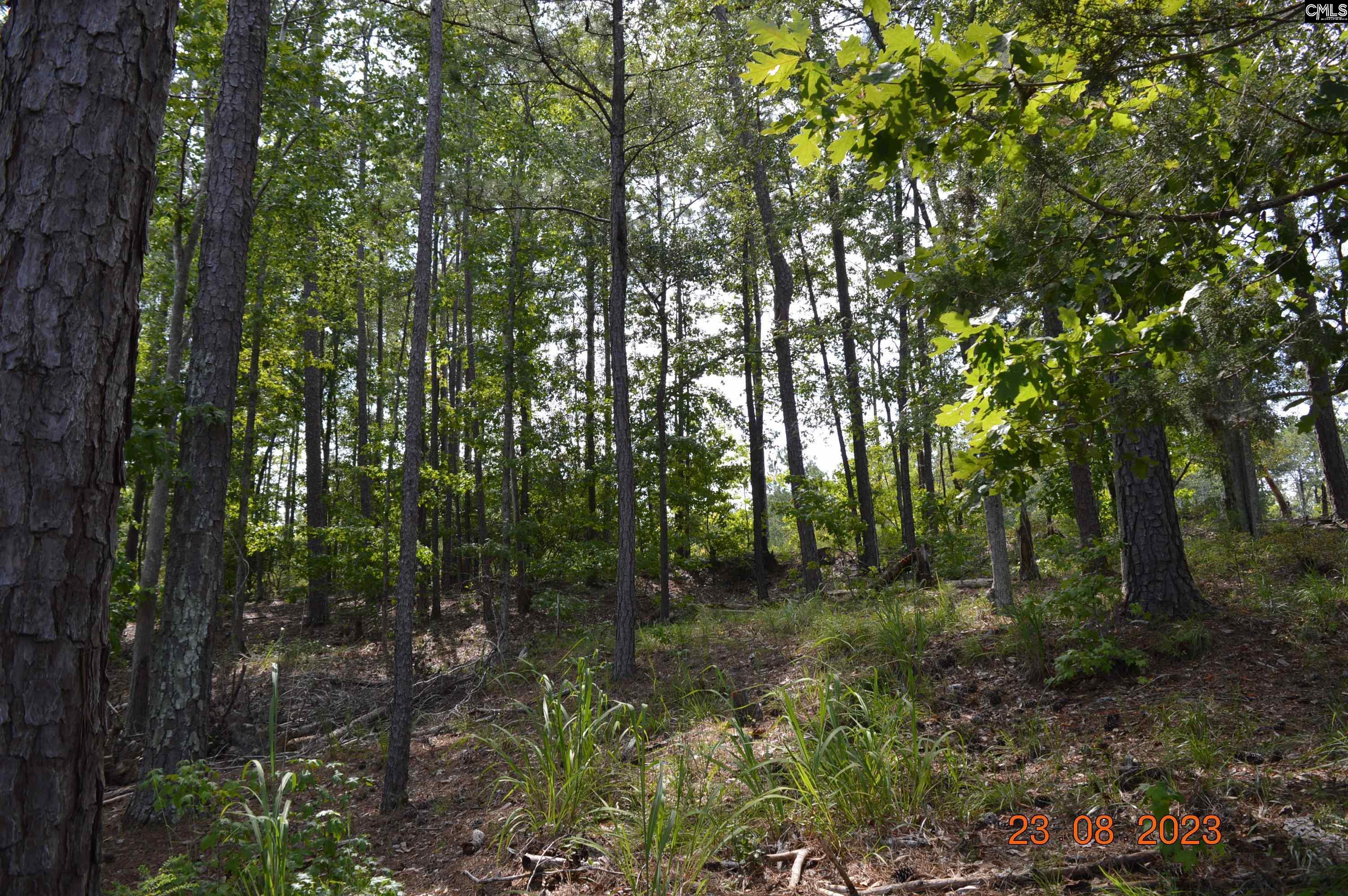 995 Retreat Way, Ridgeway, South Carolina image 7