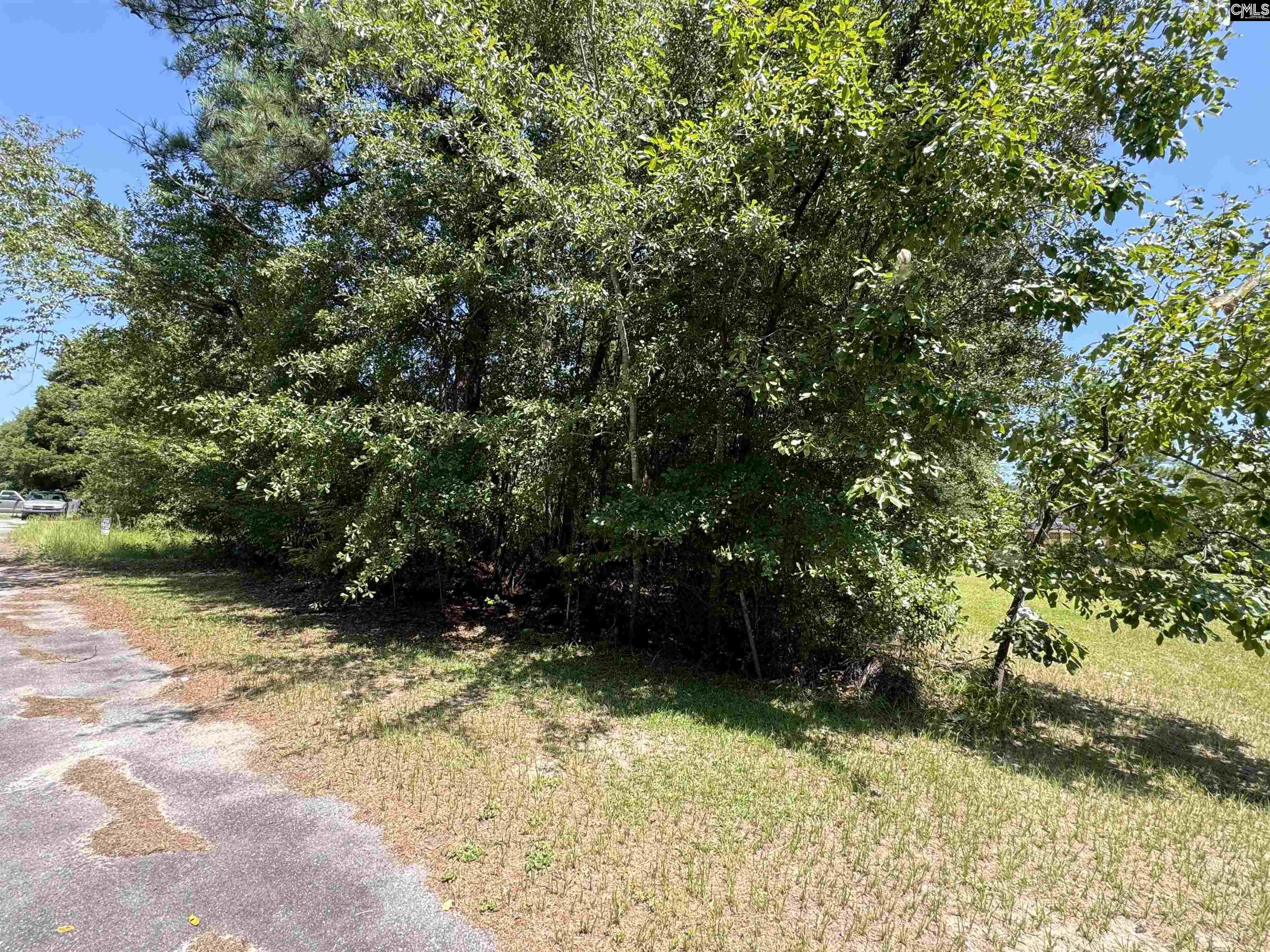 312 Everett Street Columbia, SC 29223