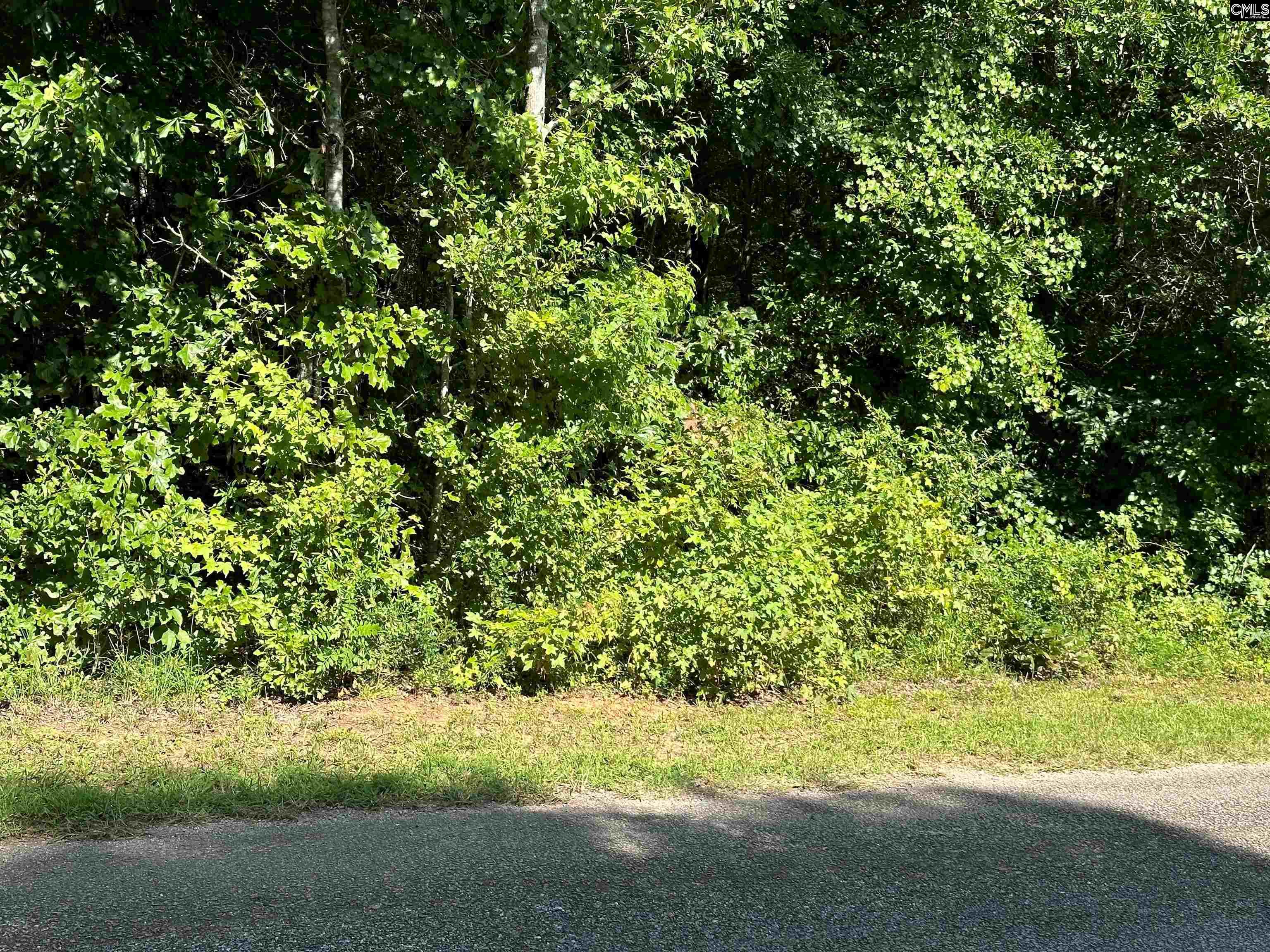 Hoover Lane, Ridgeway, South Carolina image 1