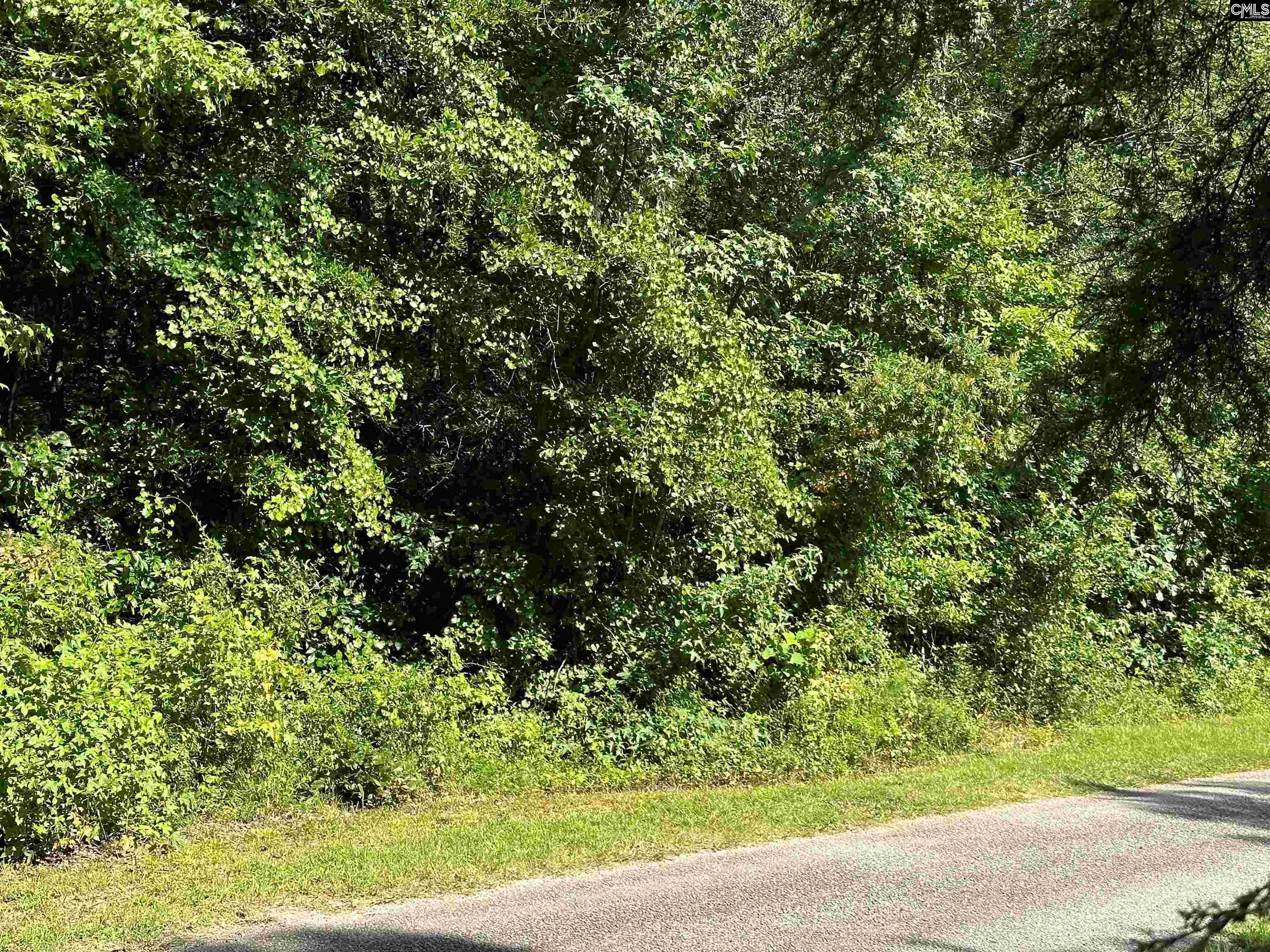 Hoover Lane, Ridgeway, South Carolina image 2