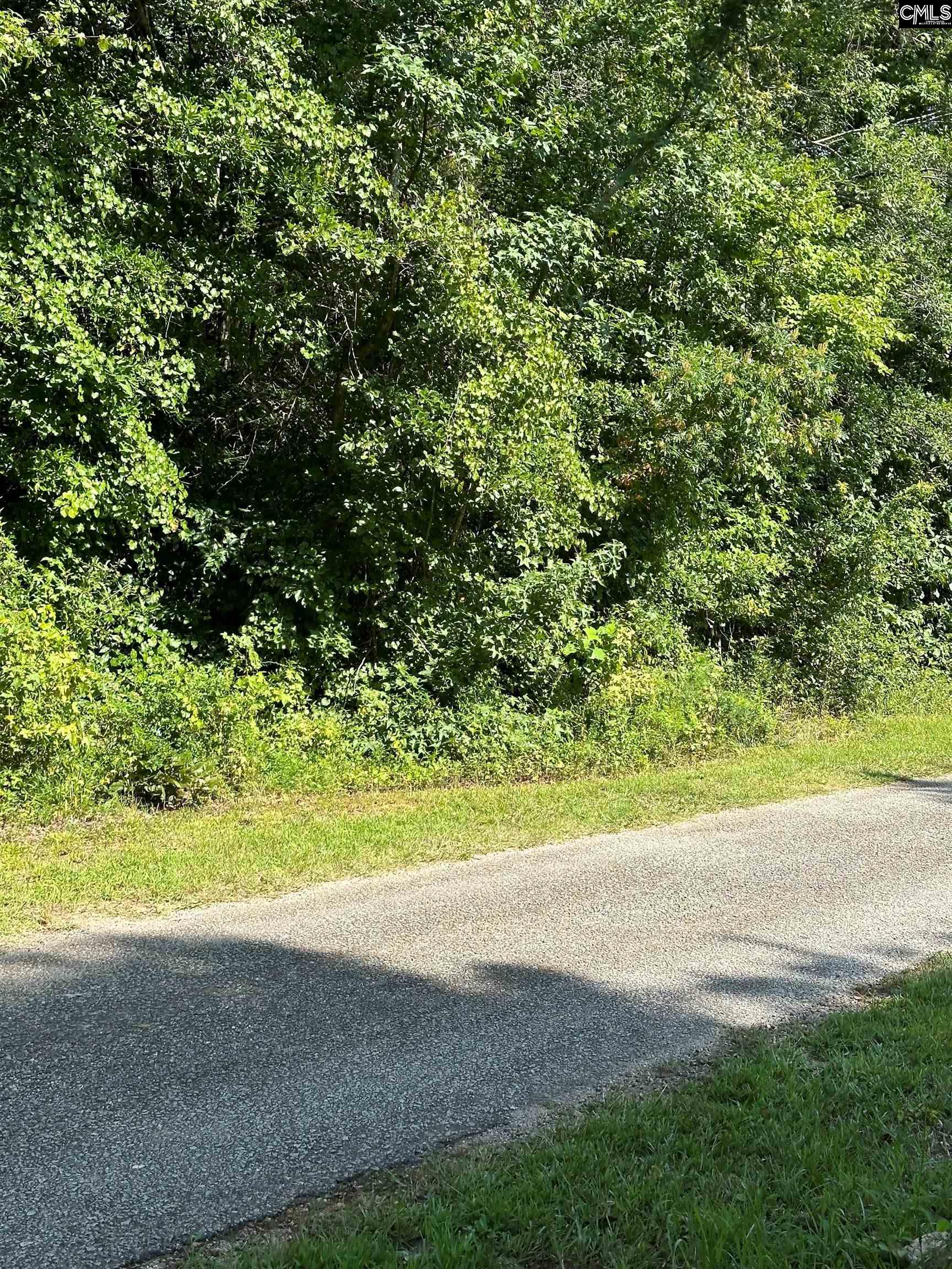 Hoover Lane, Ridgeway, South Carolina image 3
