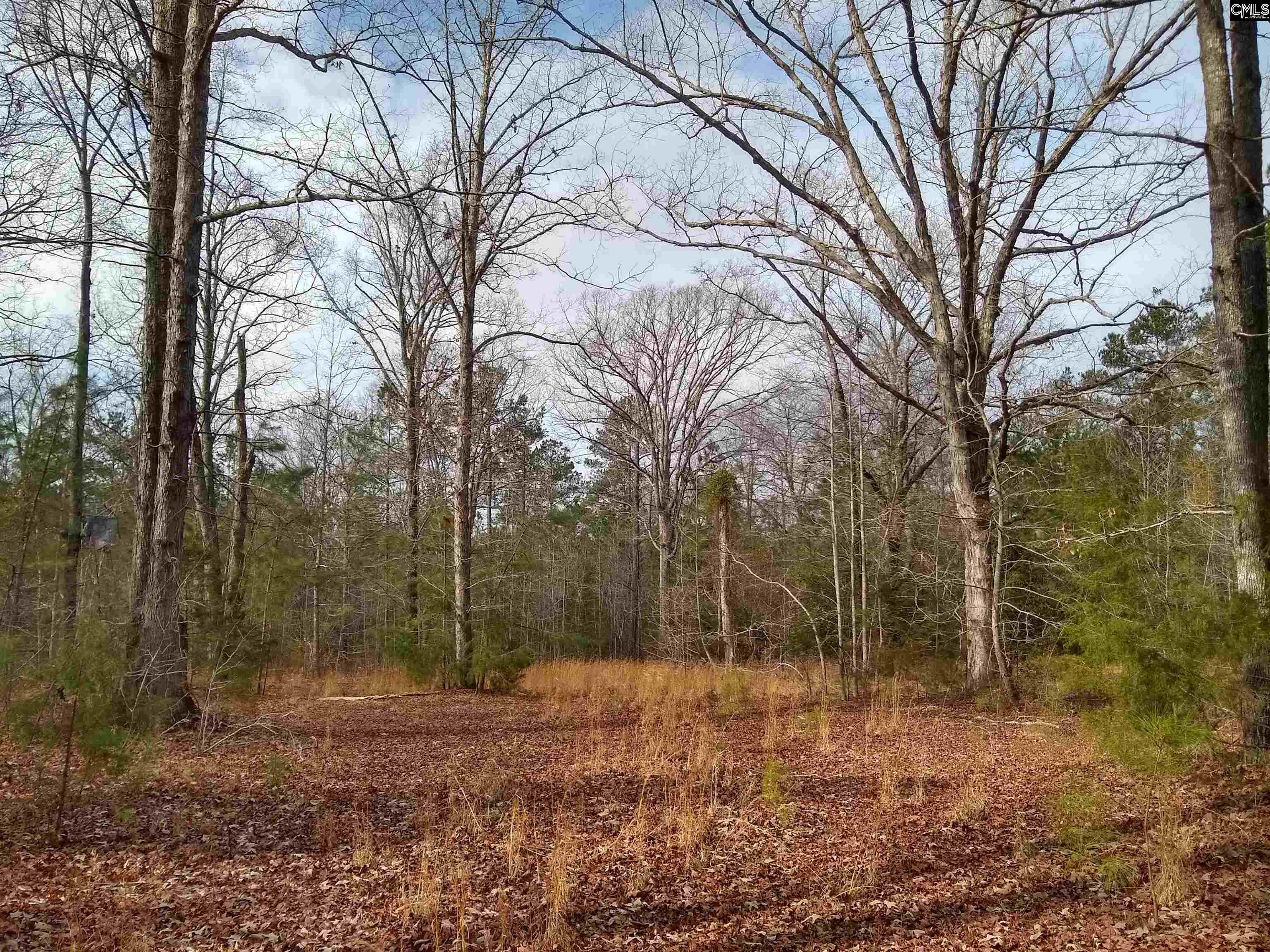 0 321 Highway Winnsboro, SC 29180