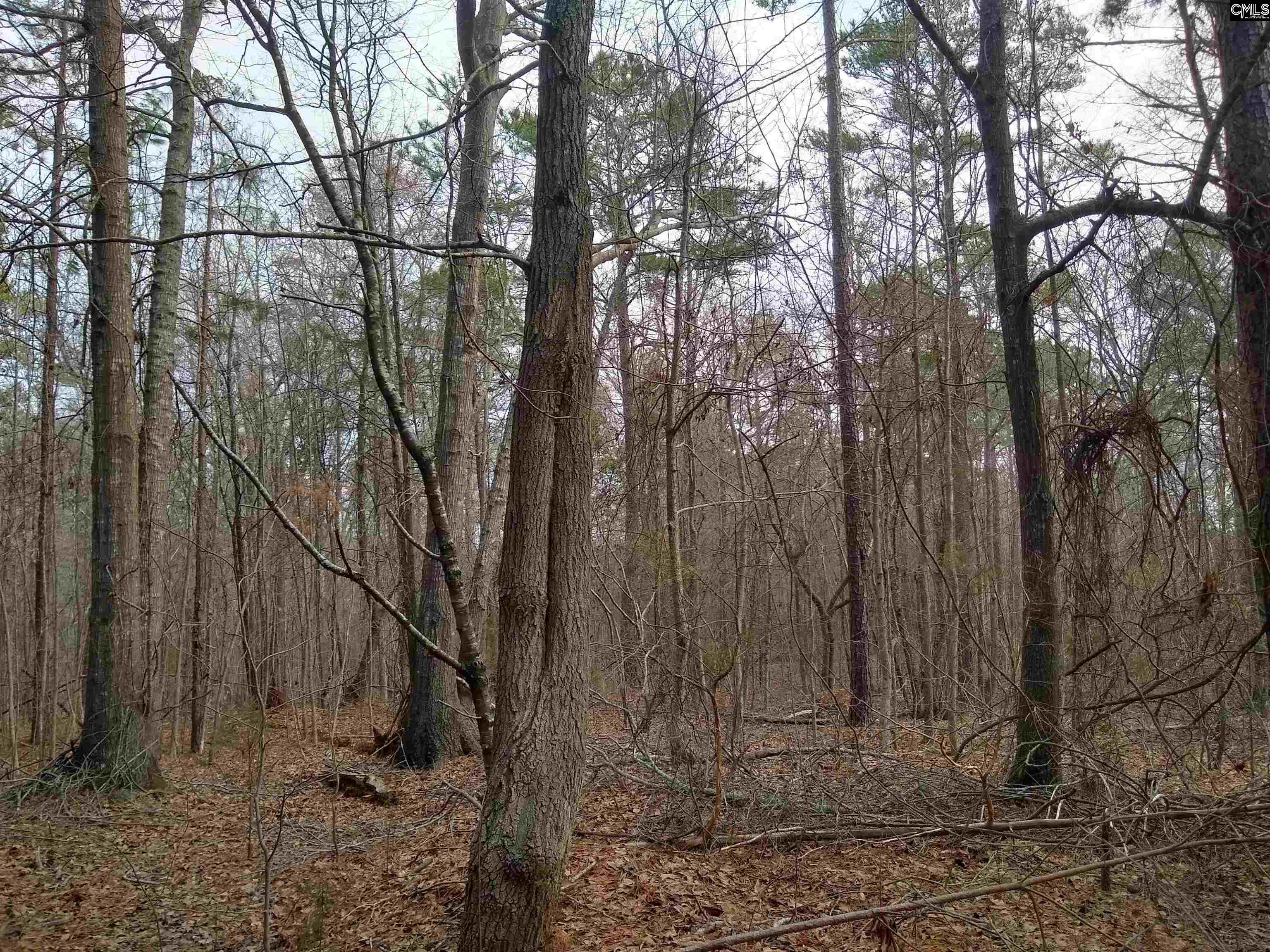321 Highway, Winnsboro, South Carolina image 2
