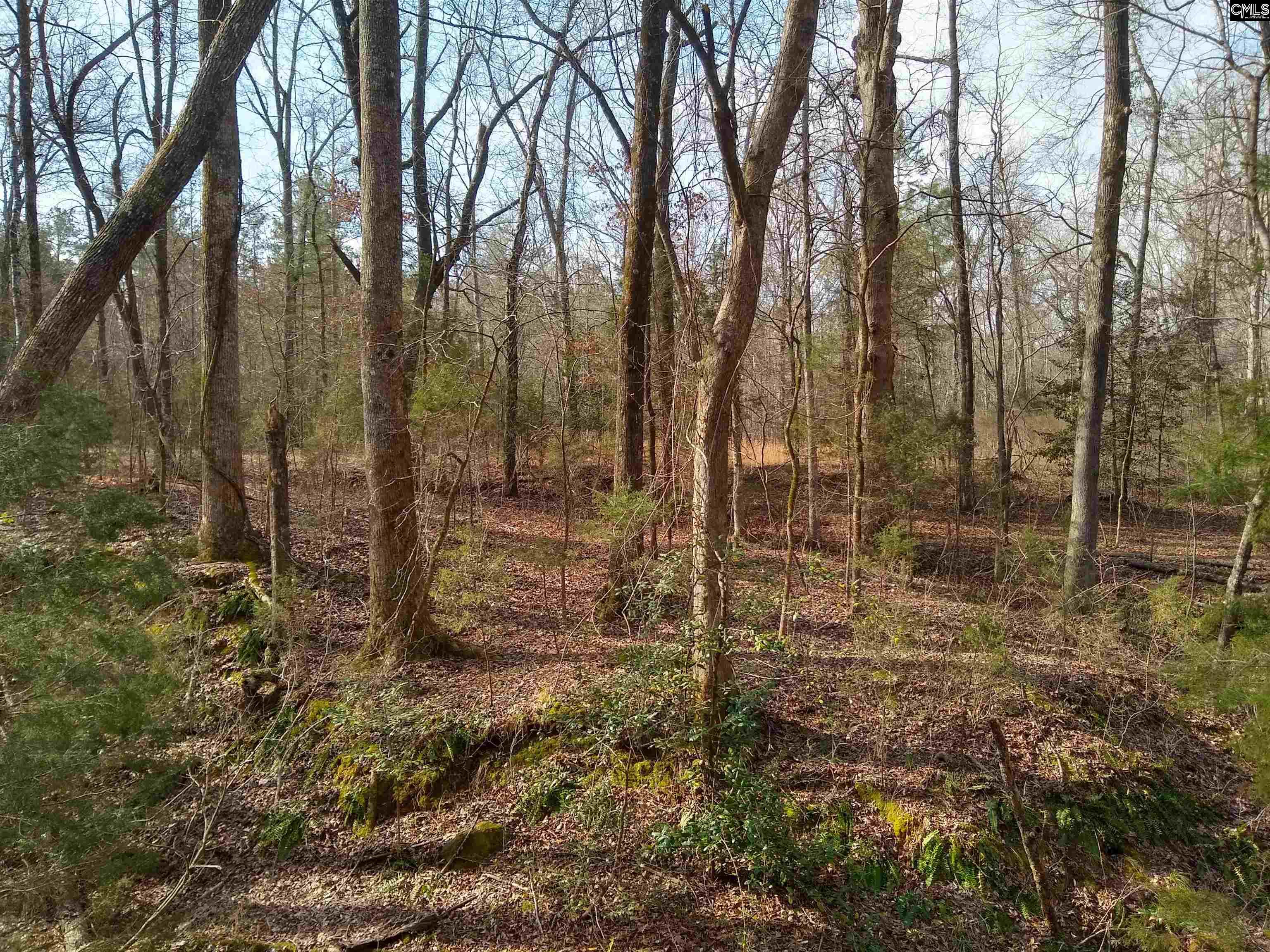 321 Highway, Winnsboro, South Carolina image 11