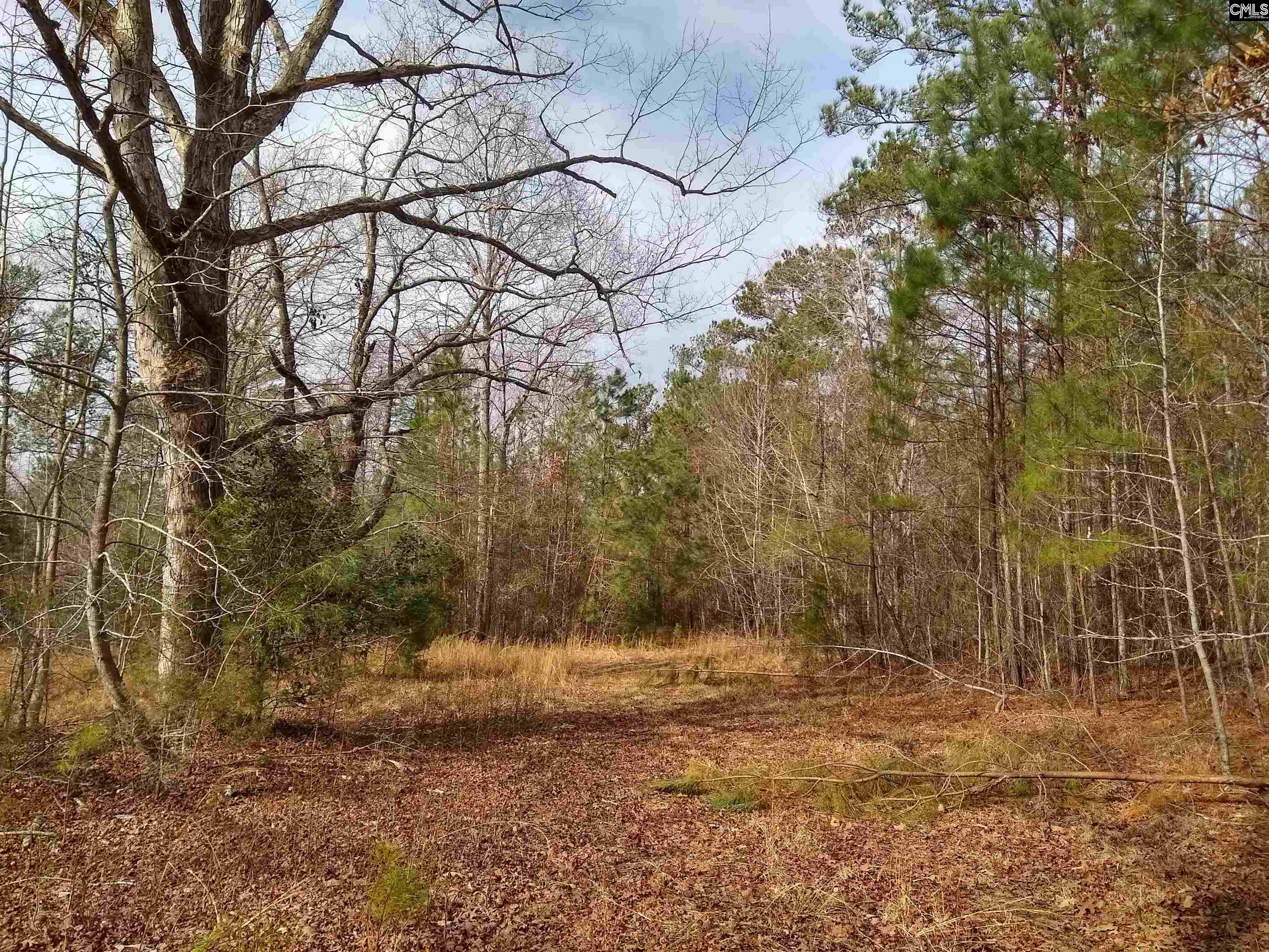 321 Highway, Winnsboro, South Carolina image 15