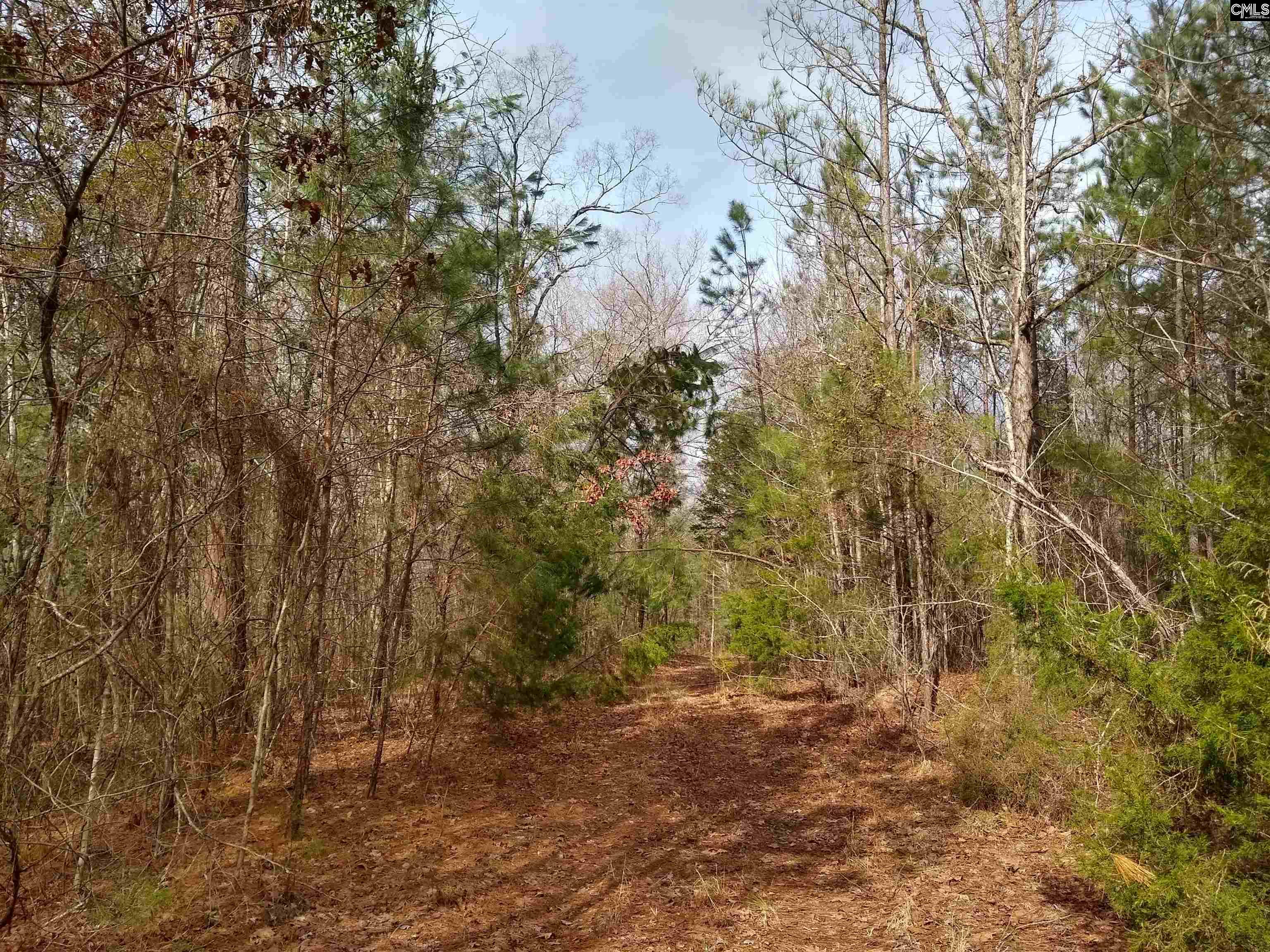 321 Highway, Winnsboro, South Carolina image 16