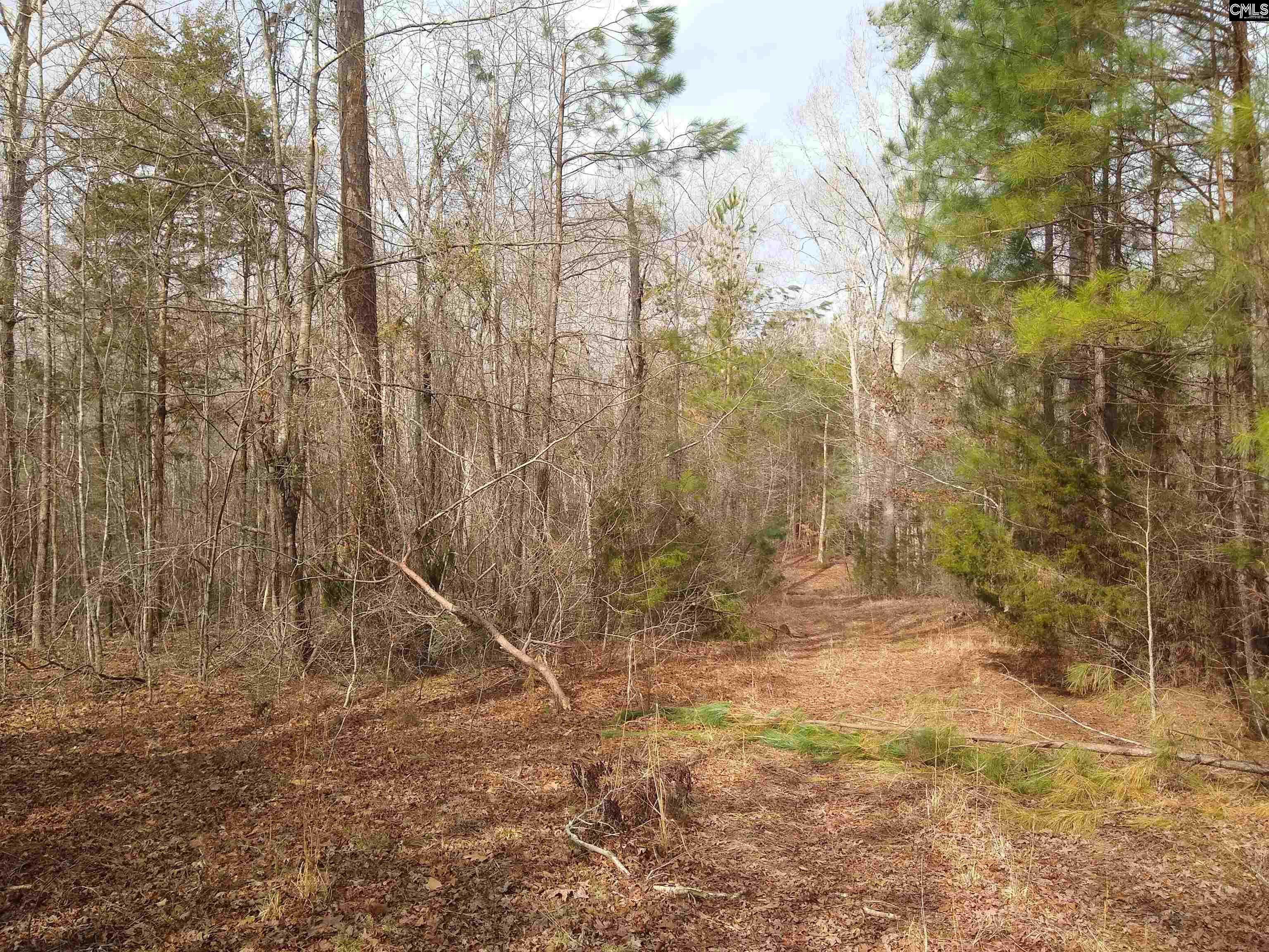 321 Highway, Winnsboro, South Carolina image 17