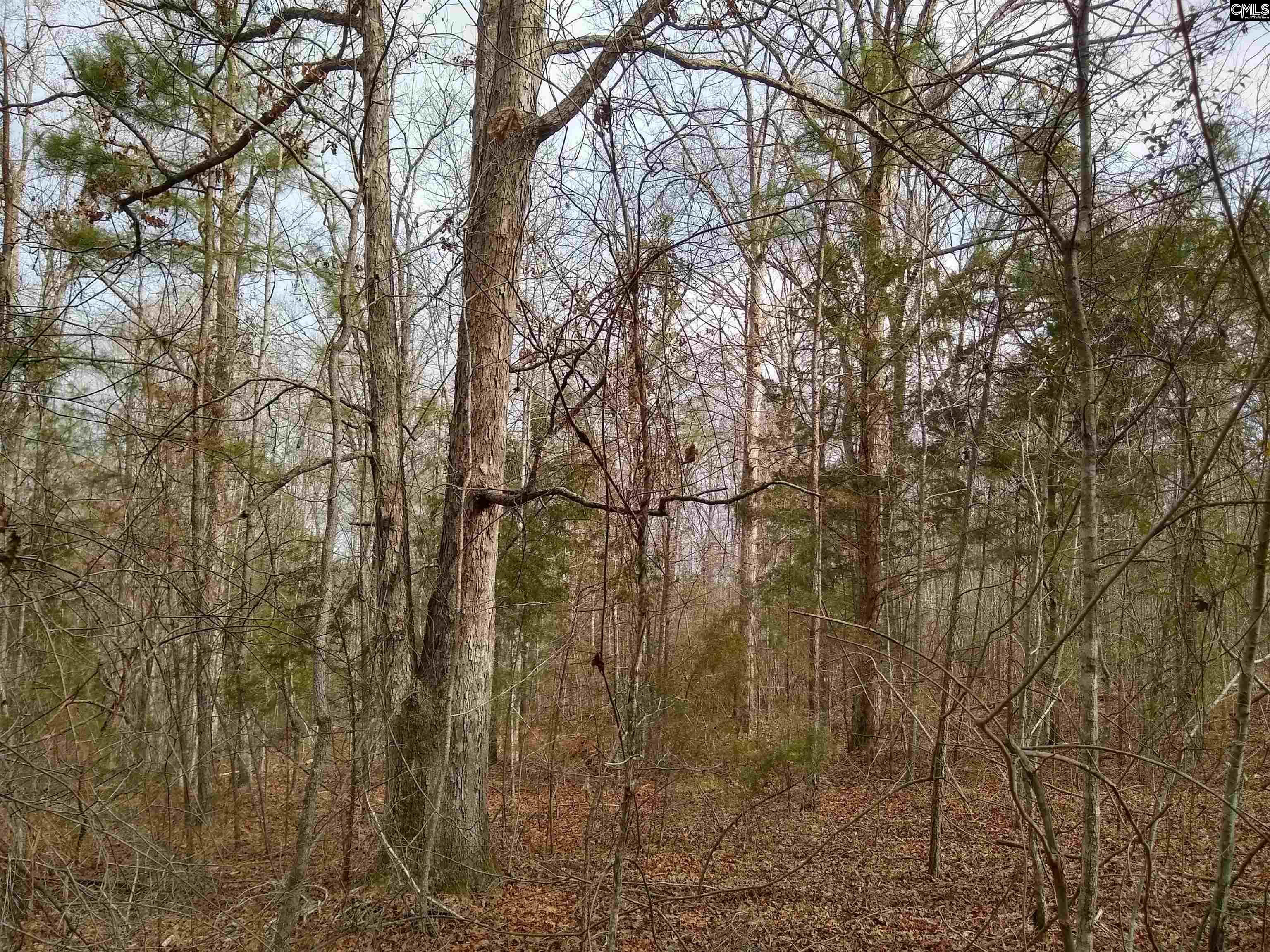 321 Highway, Winnsboro, South Carolina image 18