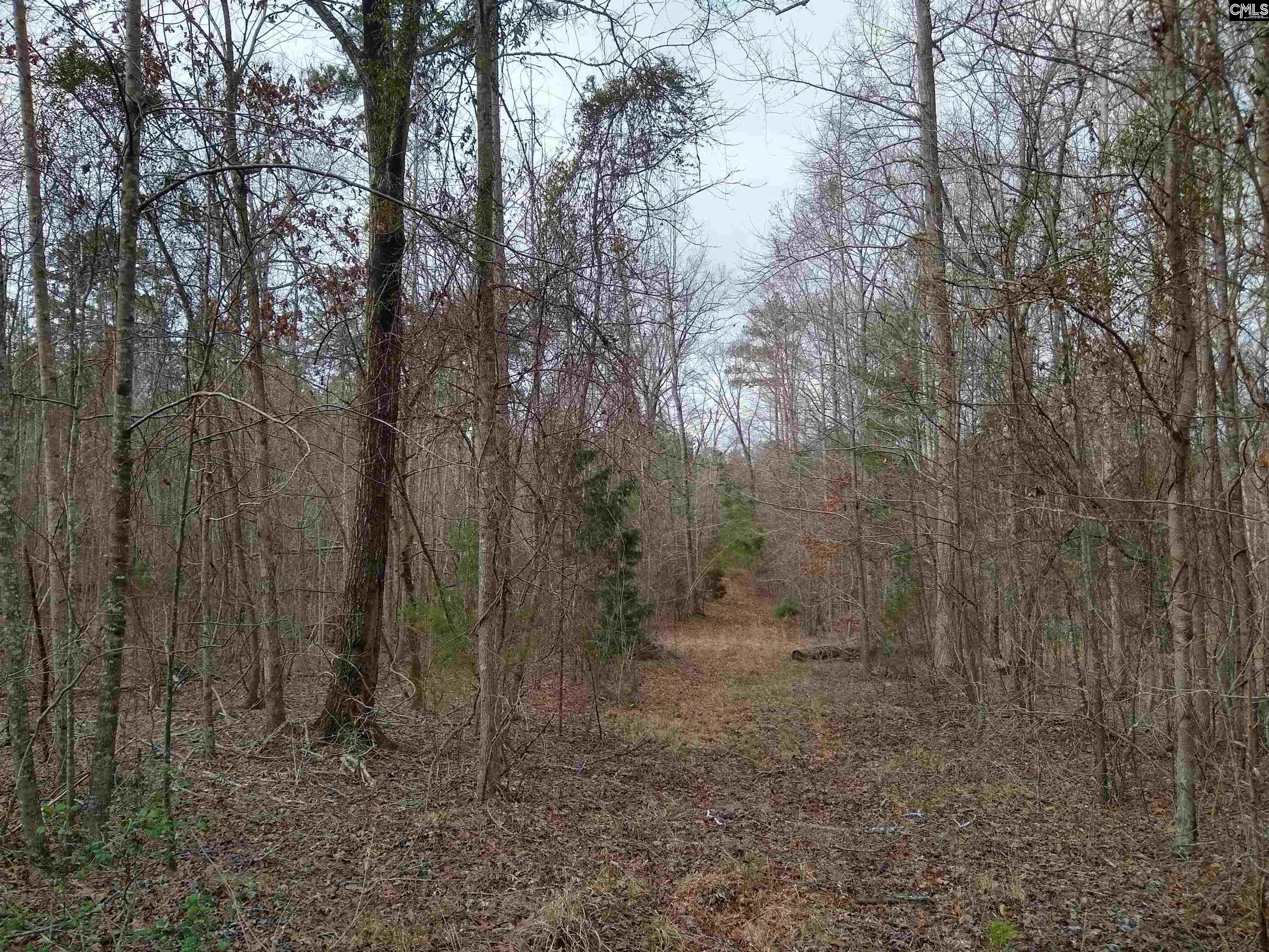 321 Highway, Winnsboro, South Carolina image 19
