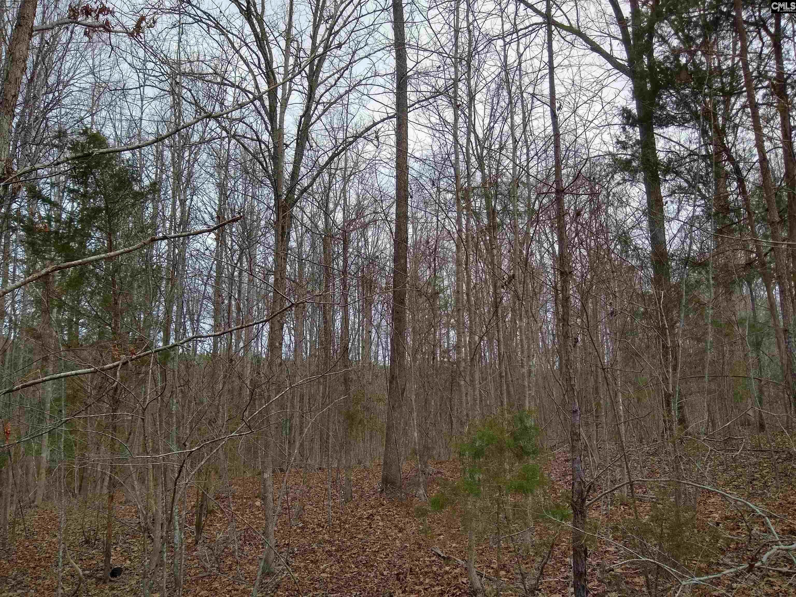 321 Highway, Winnsboro, South Carolina image 20