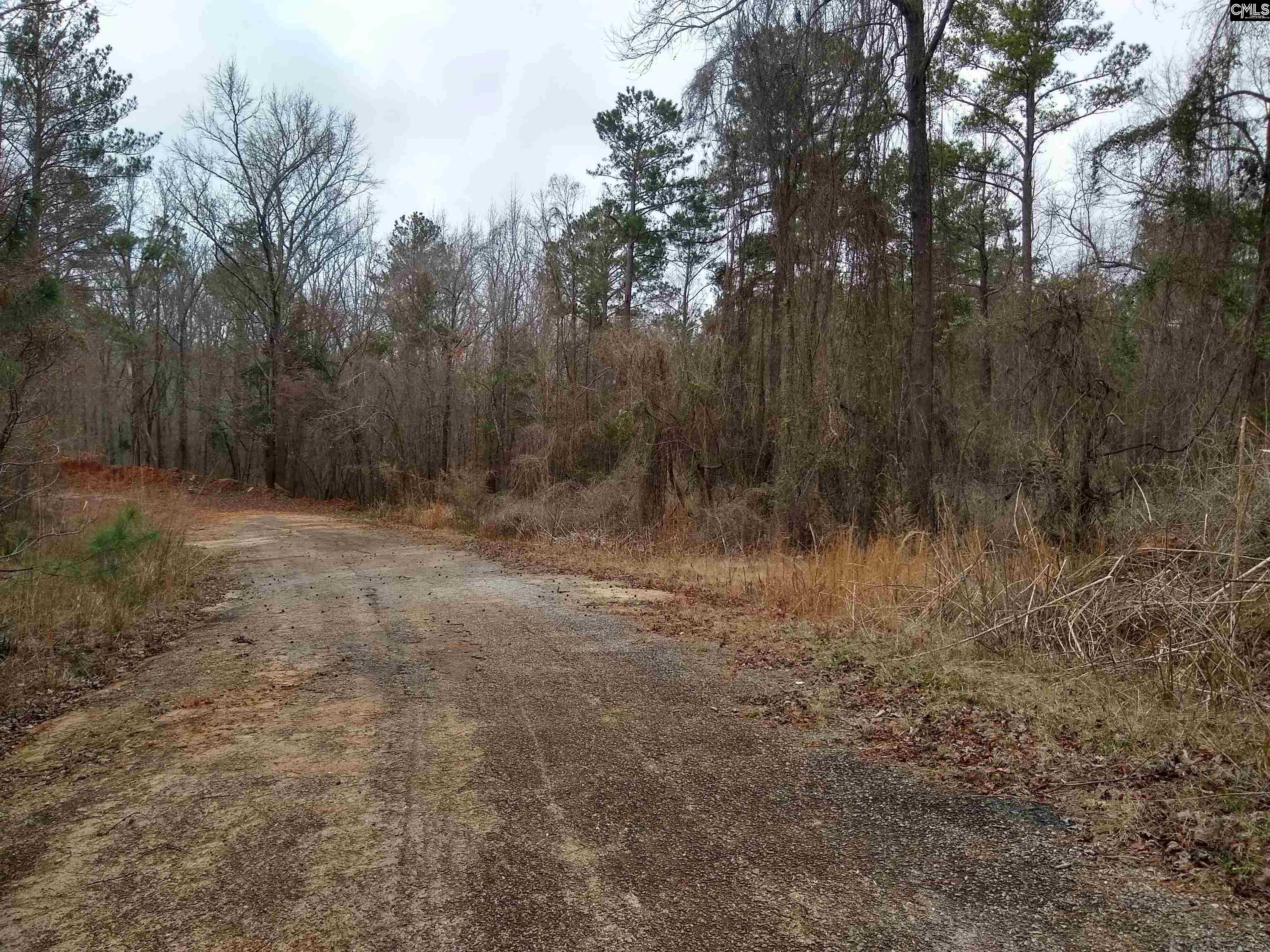 321 Highway, Winnsboro, South Carolina image 21