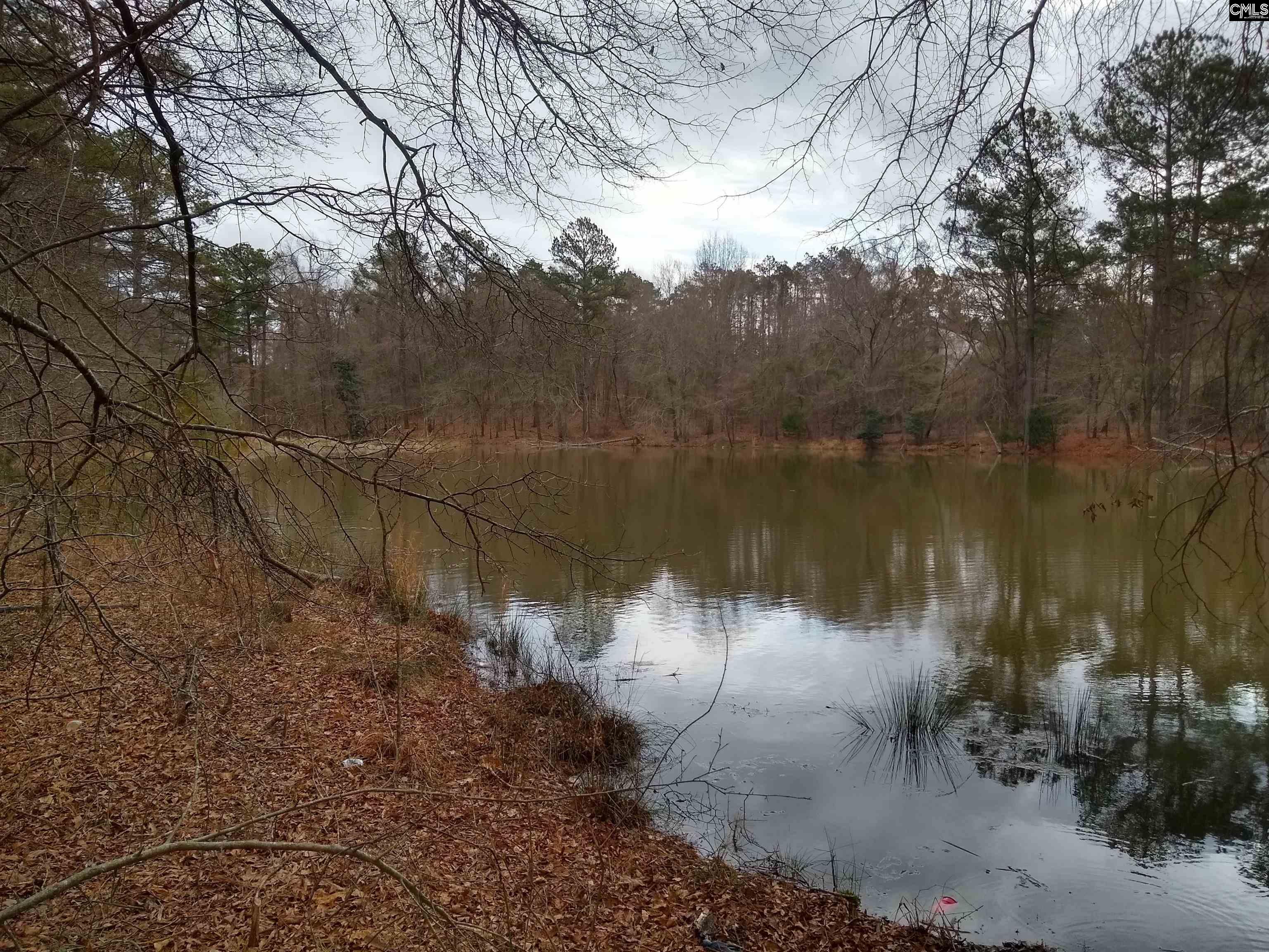 321 Highway, Winnsboro, South Carolina image 22