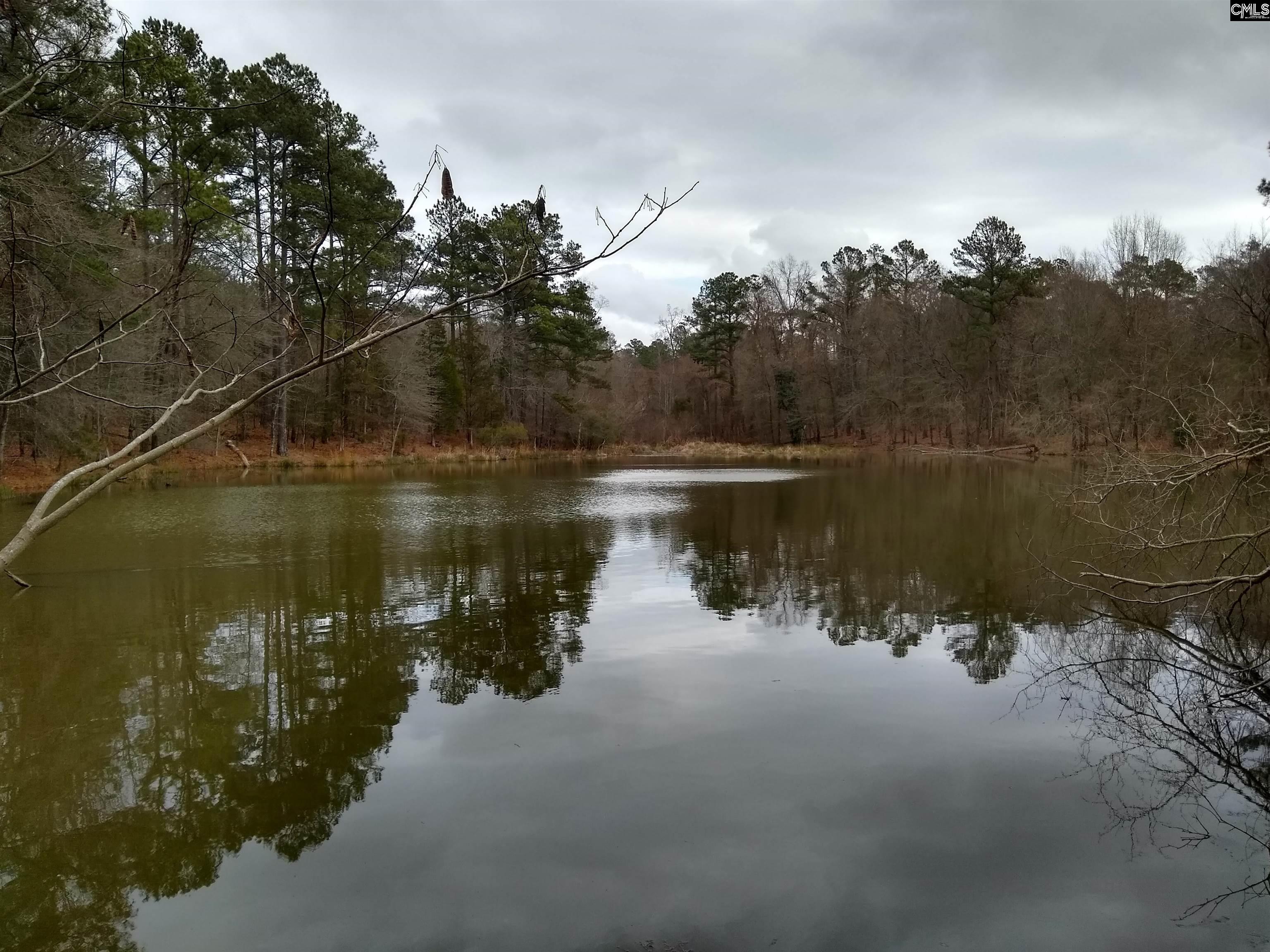 321 Highway, Winnsboro, South Carolina image 24