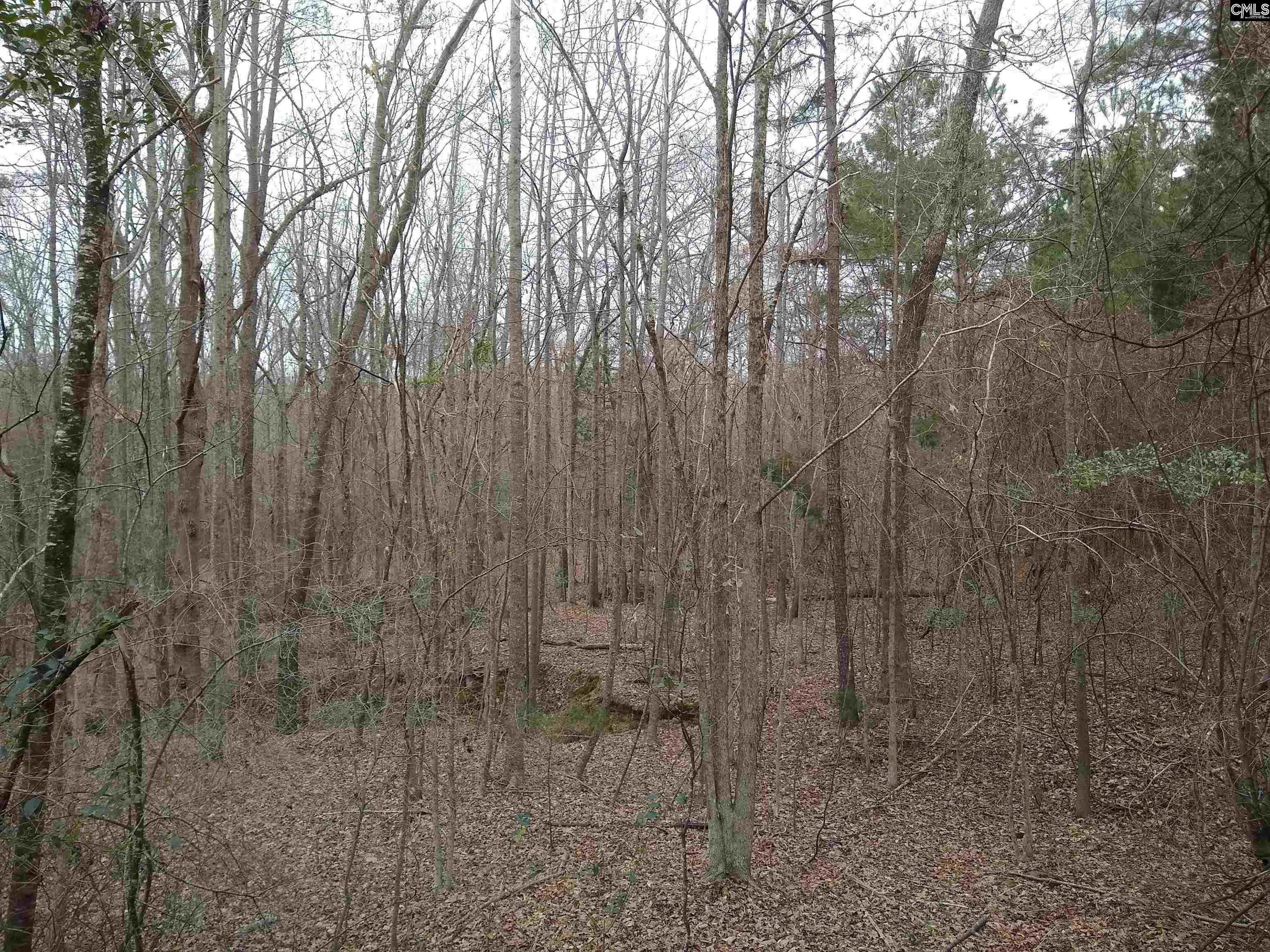 321 Highway, Winnsboro, South Carolina image 25