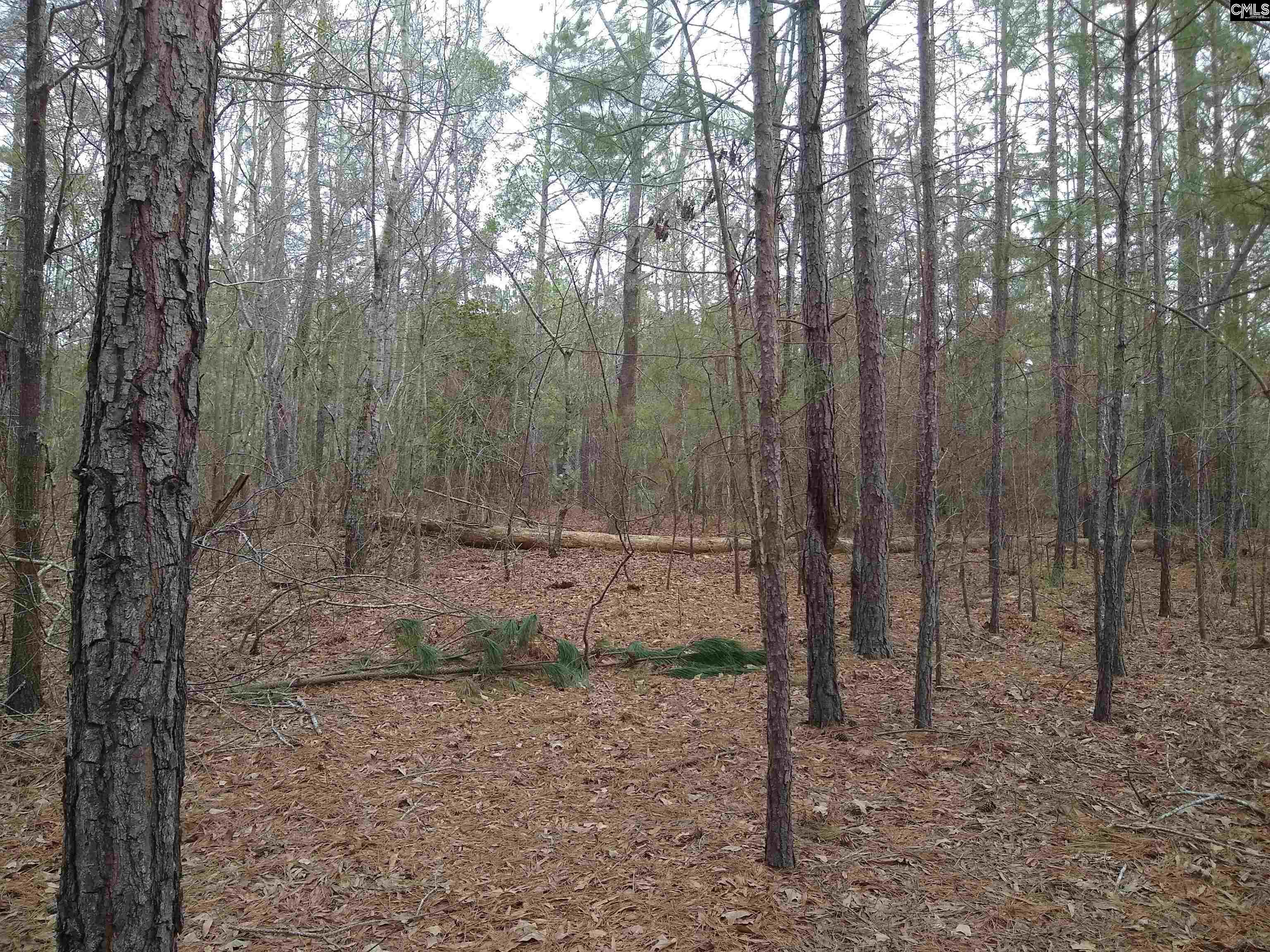 321 Highway, Winnsboro, South Carolina image 28
