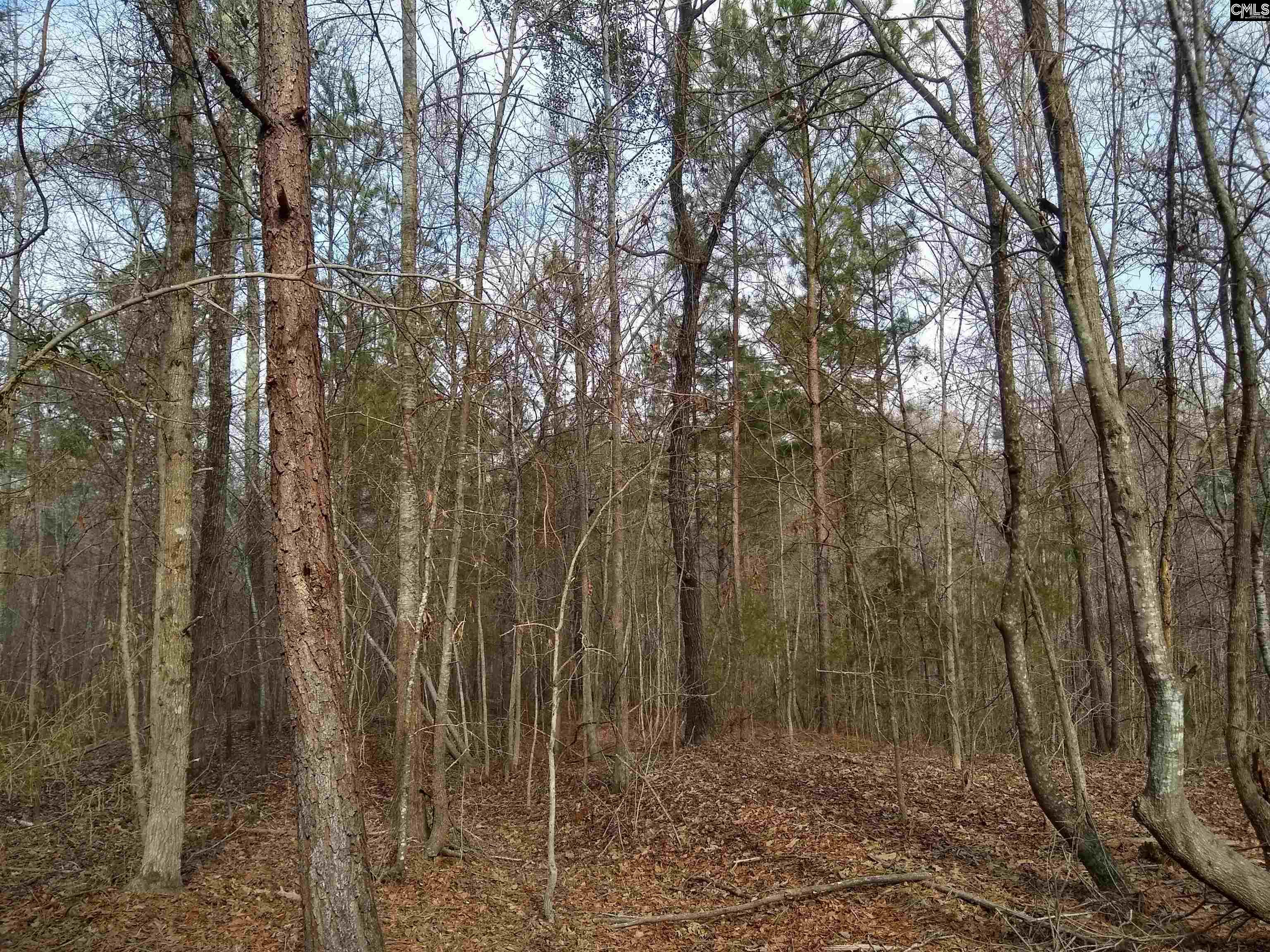 321 Highway, Winnsboro, South Carolina image 4