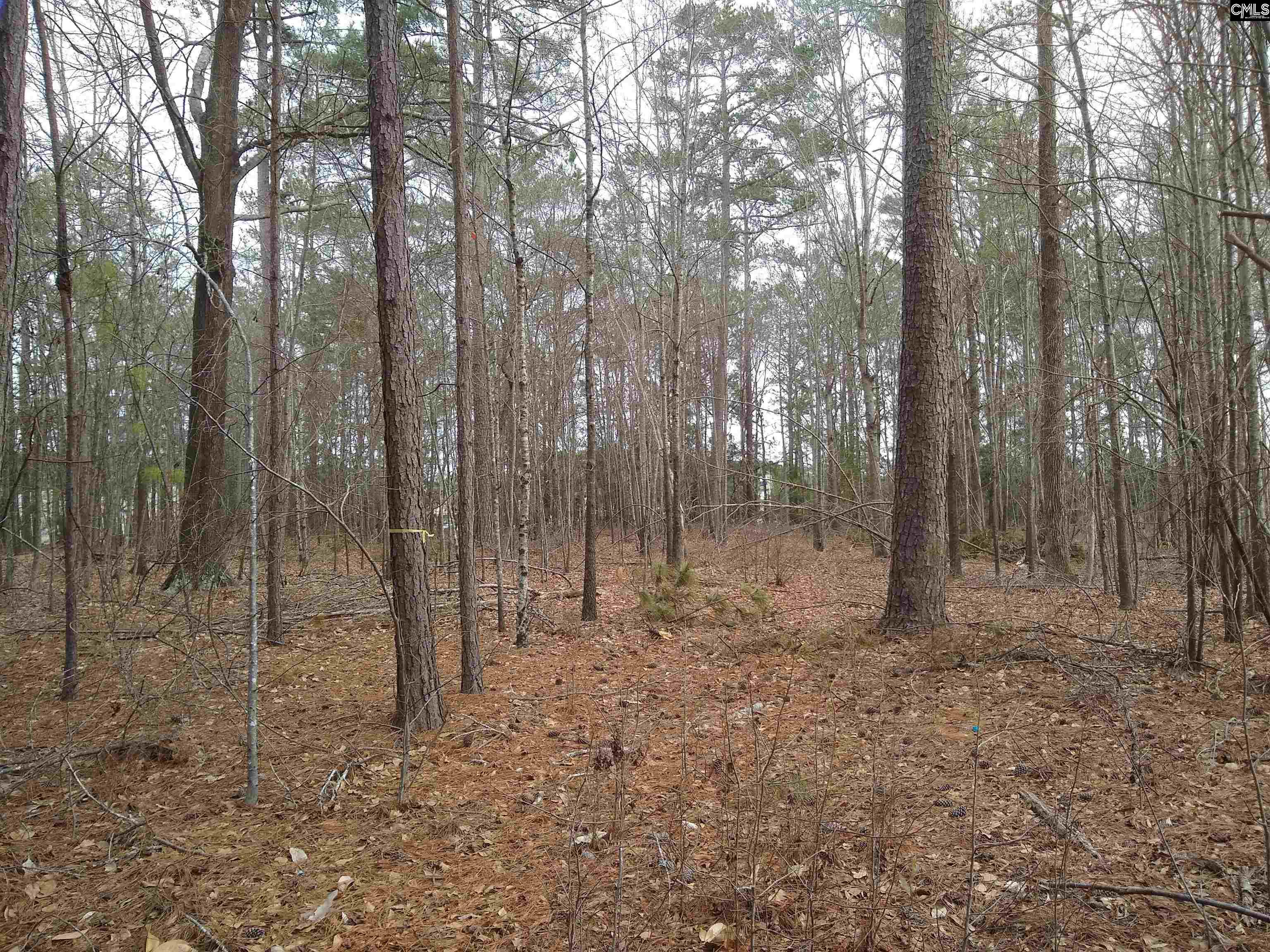 321 Highway, Winnsboro, South Carolina image 31