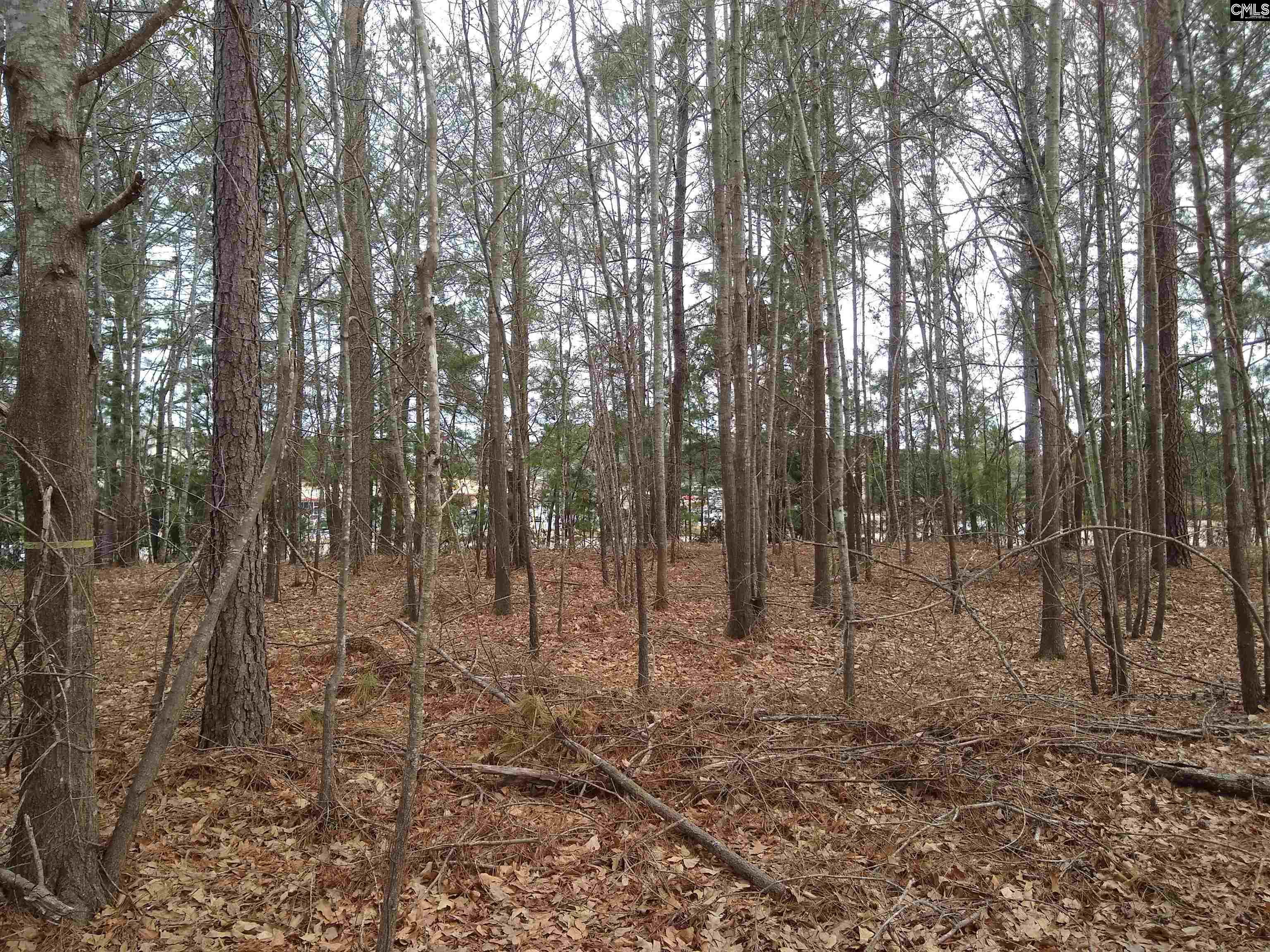 321 Highway, Winnsboro, South Carolina image 32