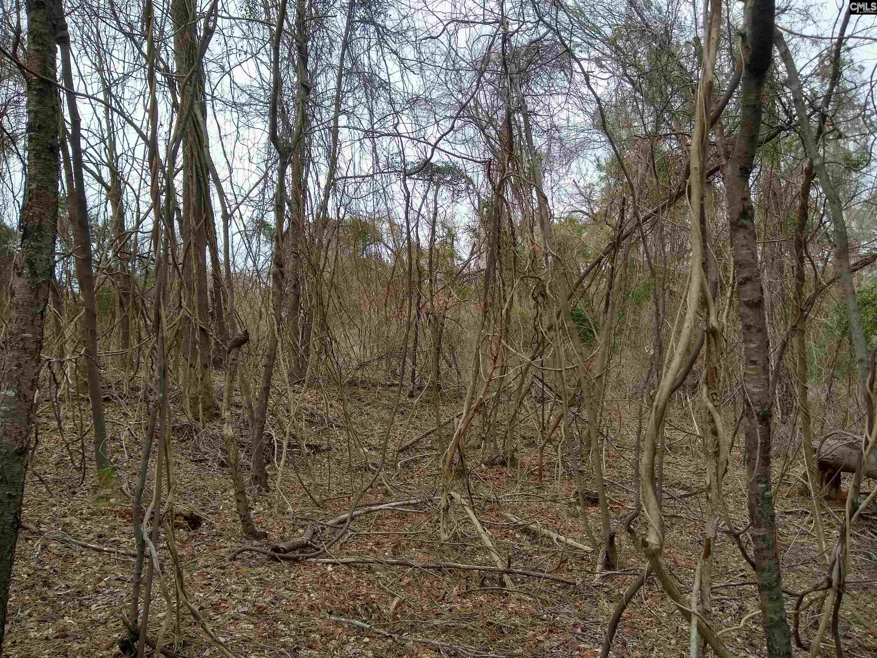 321 Highway, Winnsboro, South Carolina image 34