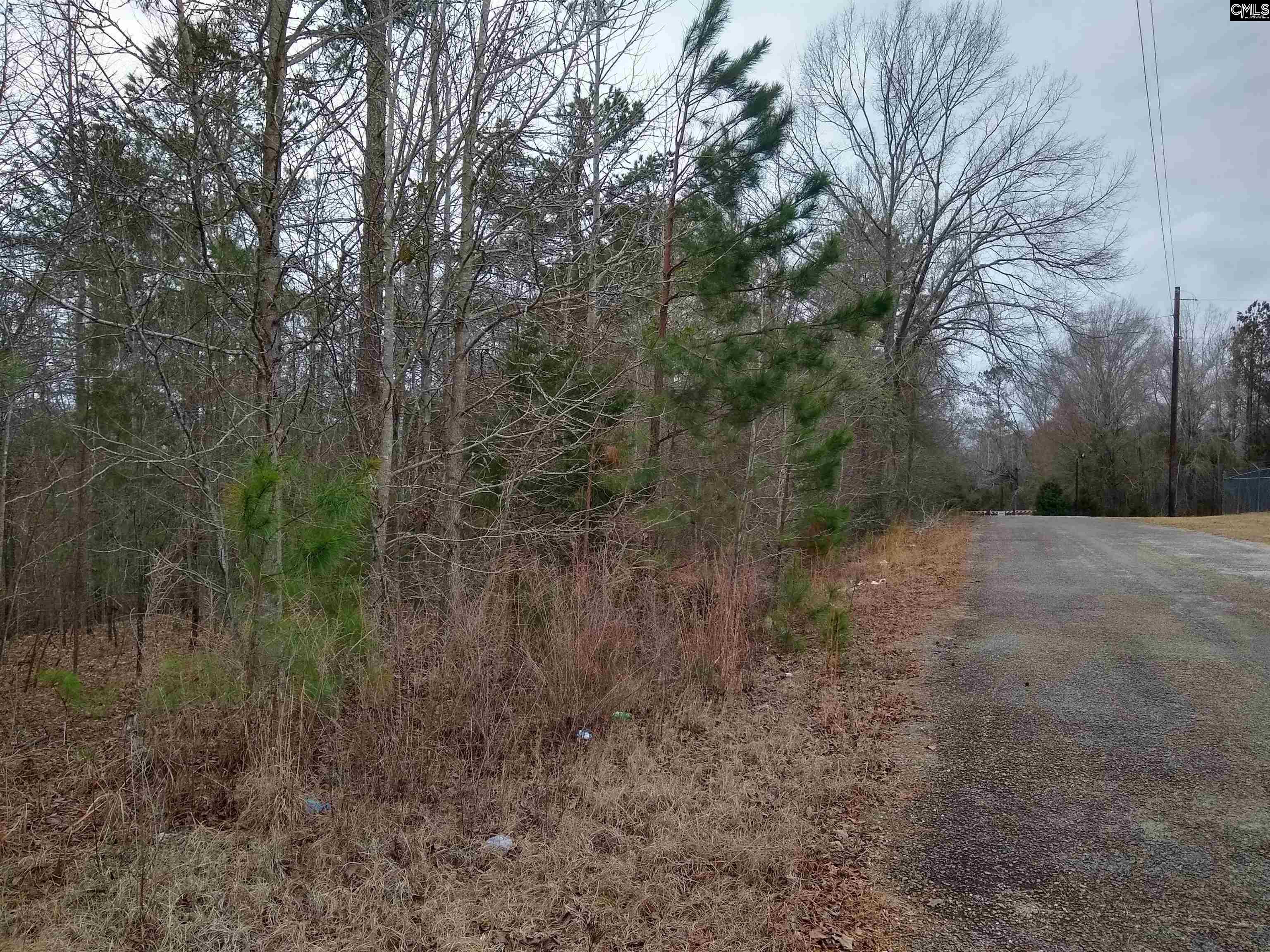 321 Highway, Winnsboro, South Carolina image 38
