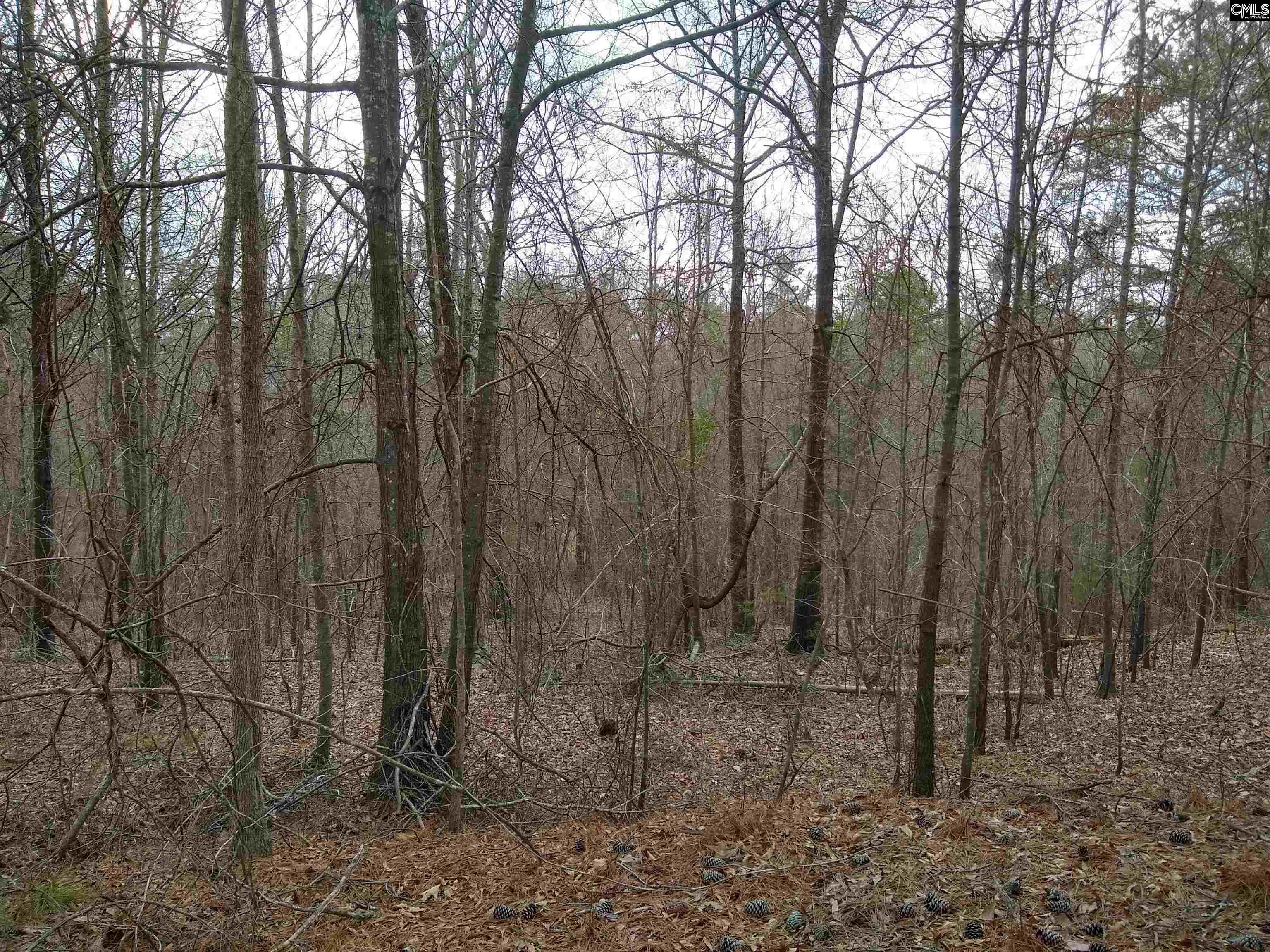 321 Highway, Winnsboro, South Carolina image 39