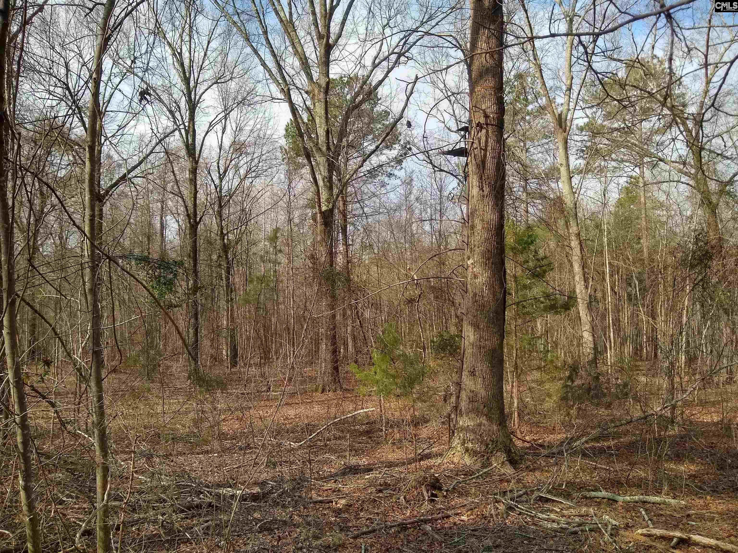 321 Highway, Winnsboro, South Carolina image 5
