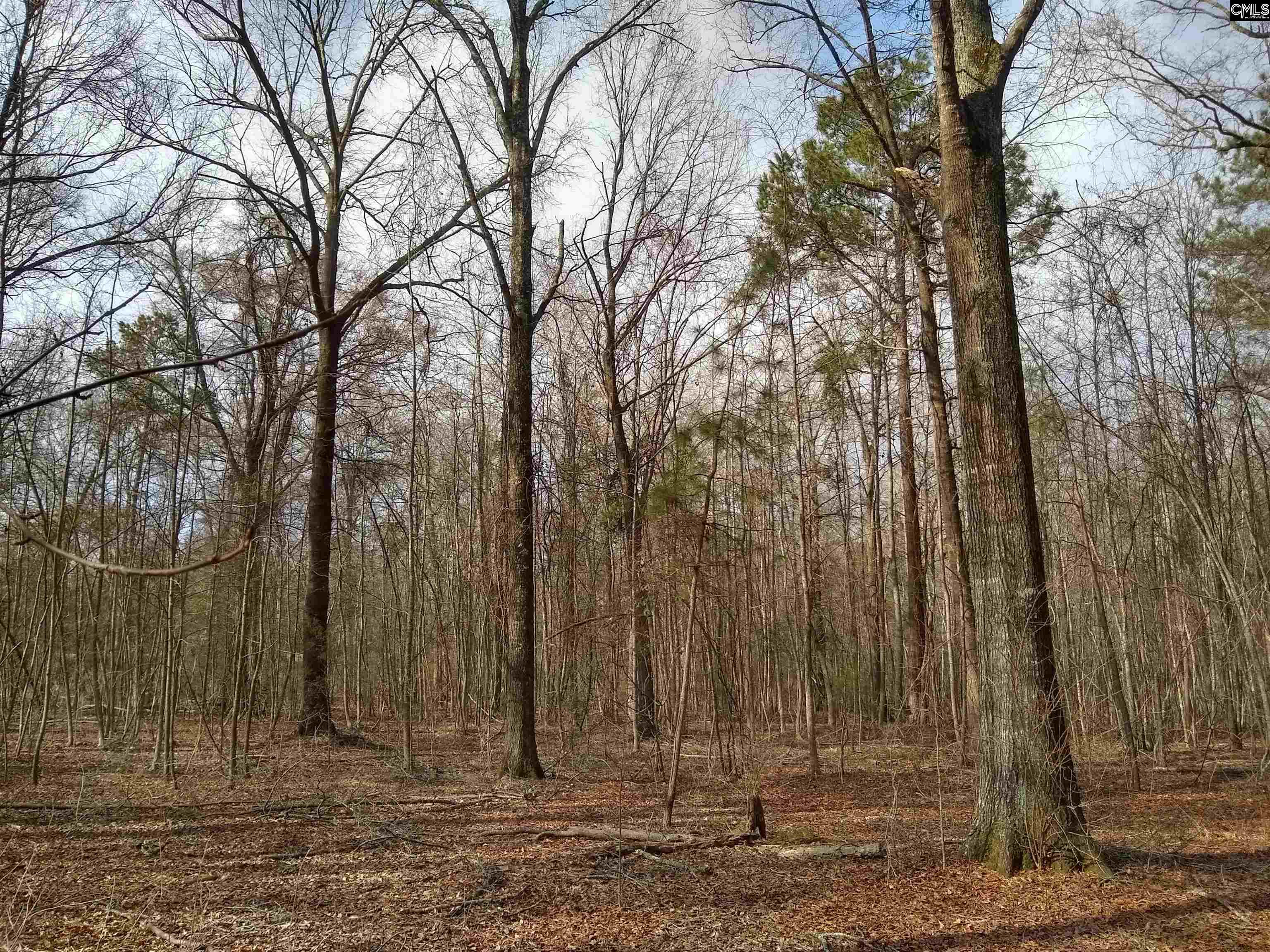 321 Highway, Winnsboro, South Carolina image 6