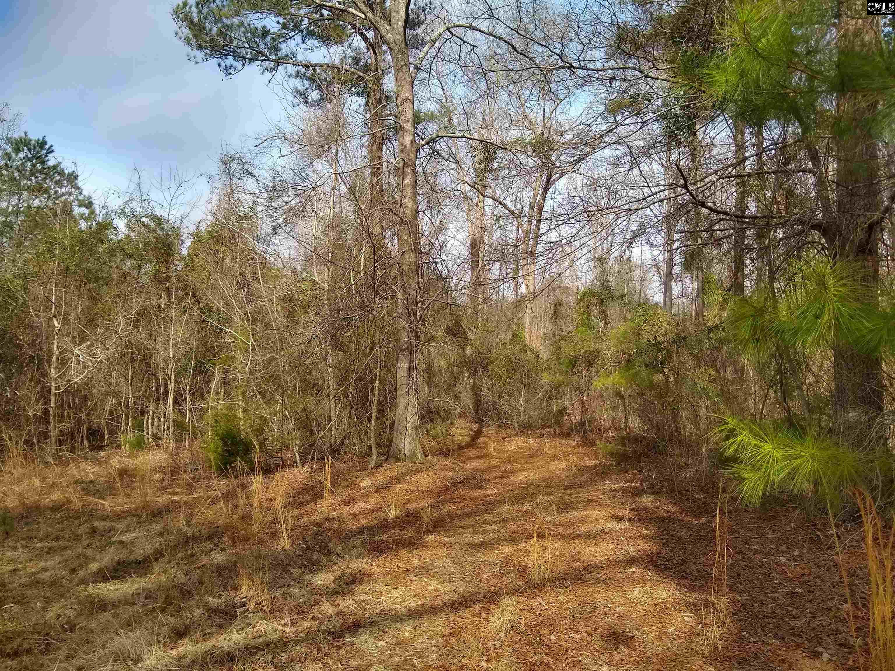 321 Highway, Winnsboro, South Carolina image 8