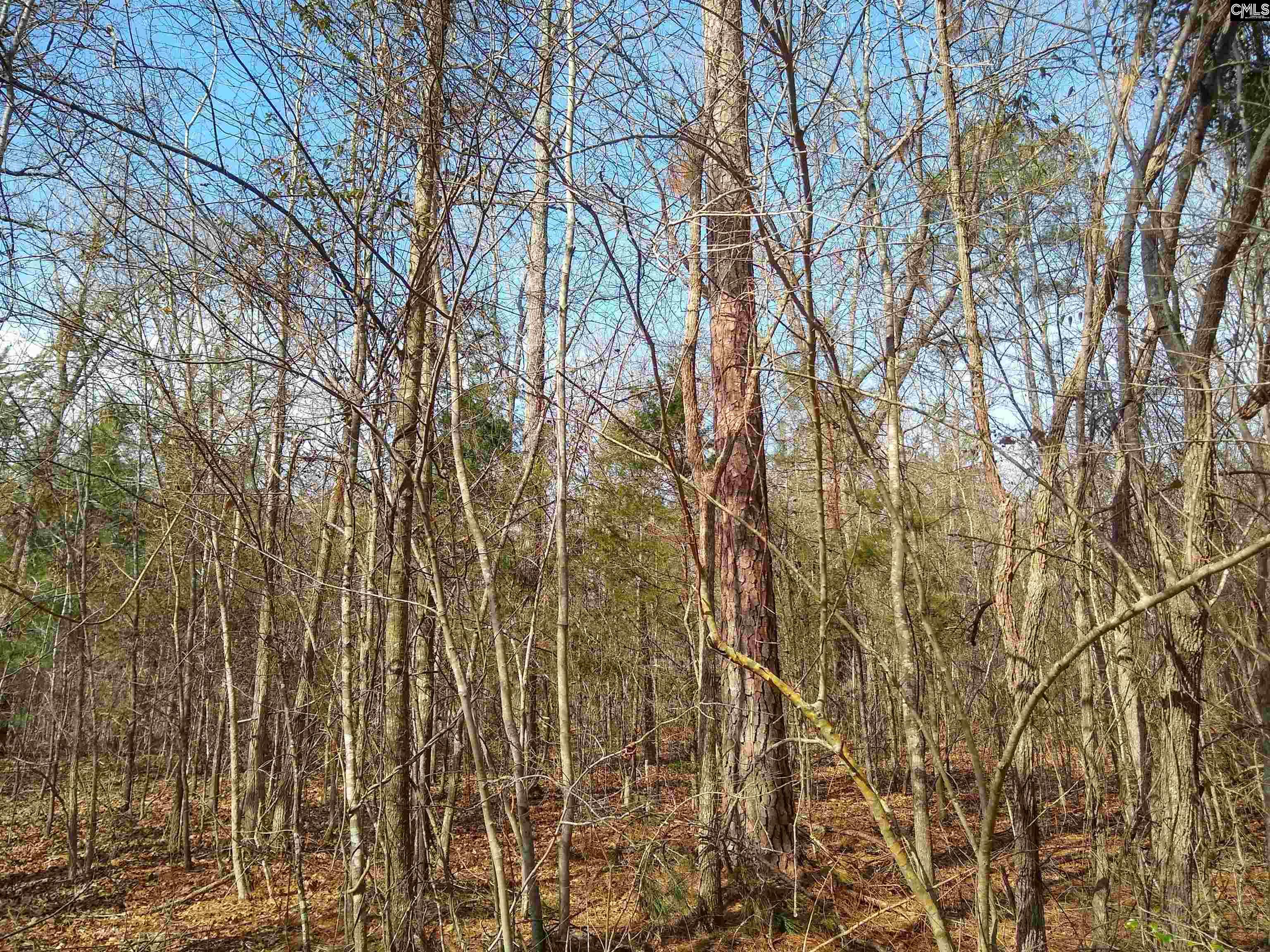 321 Highway, Winnsboro, South Carolina image 10