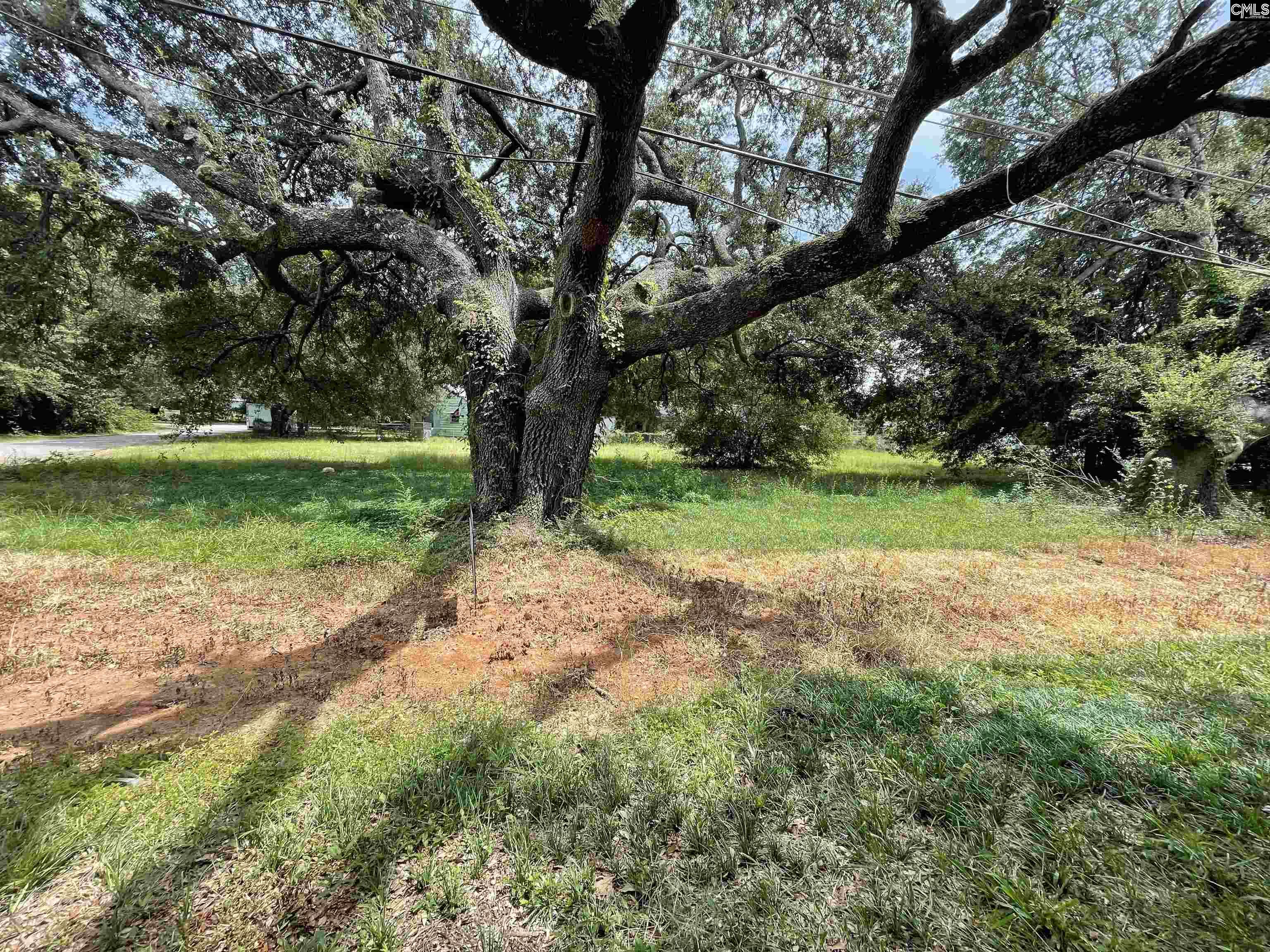 756 Laurens Street, Aiken, South Carolina image 1