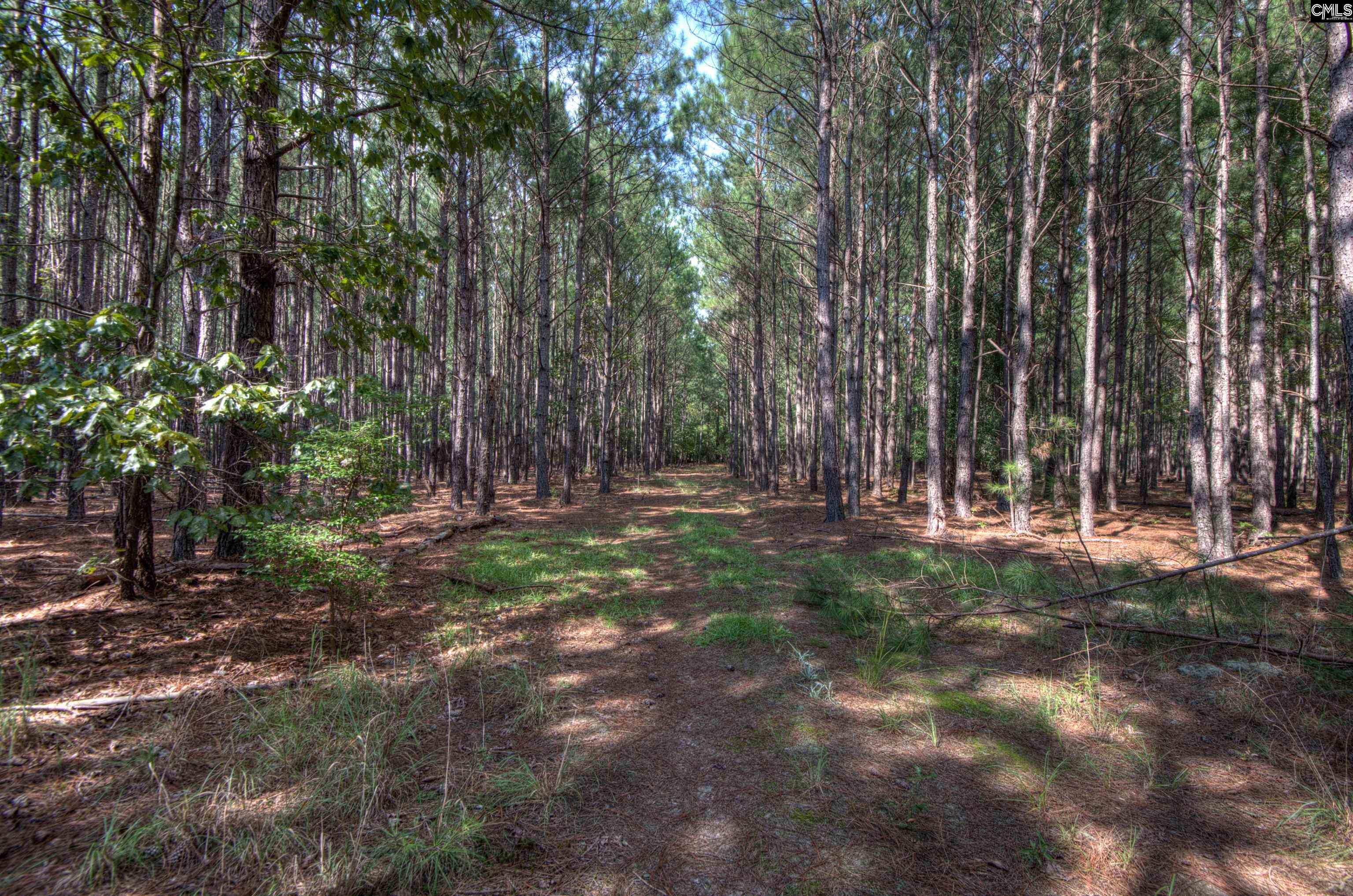 Bookman Road Elgin, SC 29045