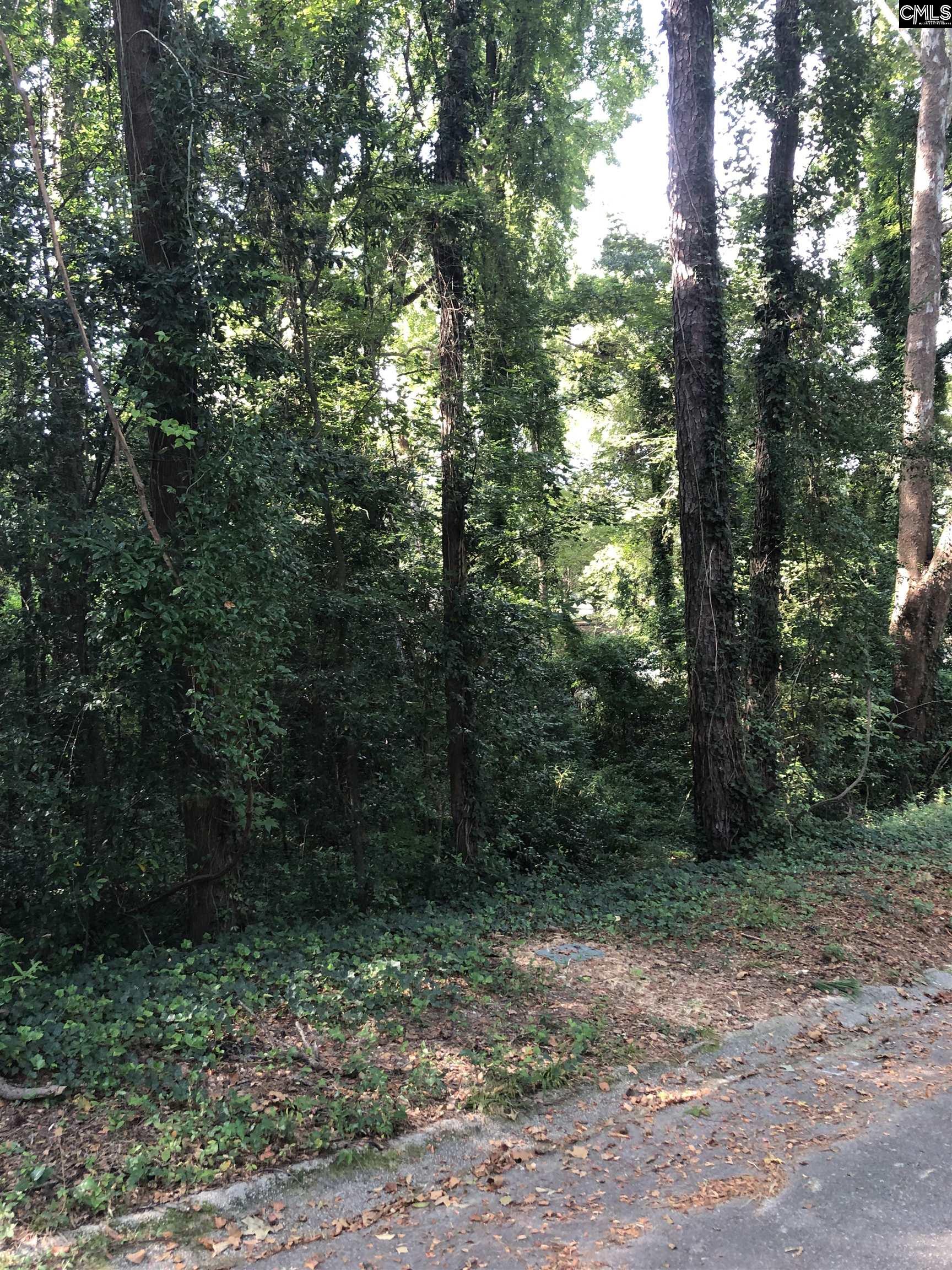 167 Waterford Drive Columbia, SC 29203