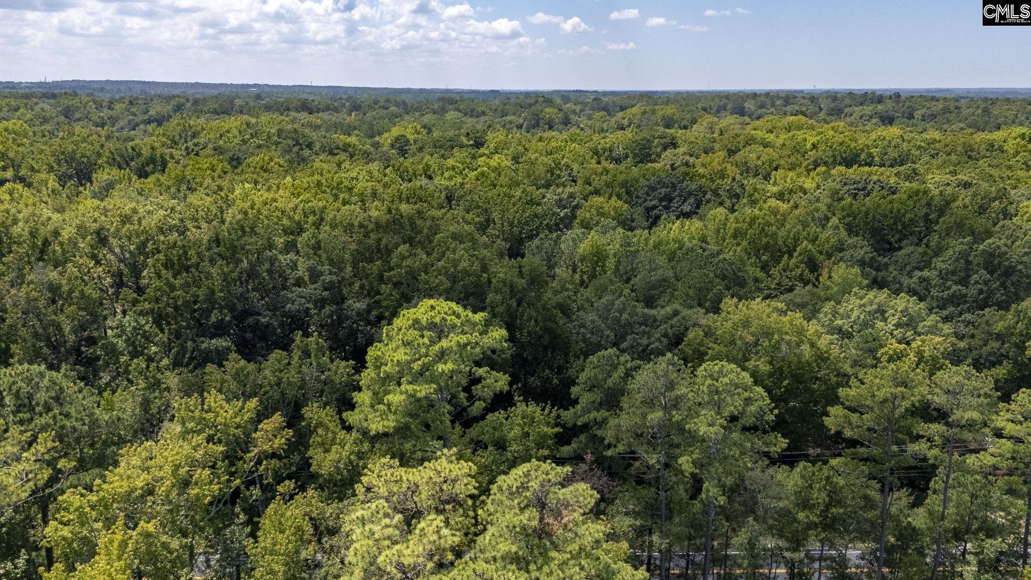 TBD Jessamine Road Lexington, SC 29073