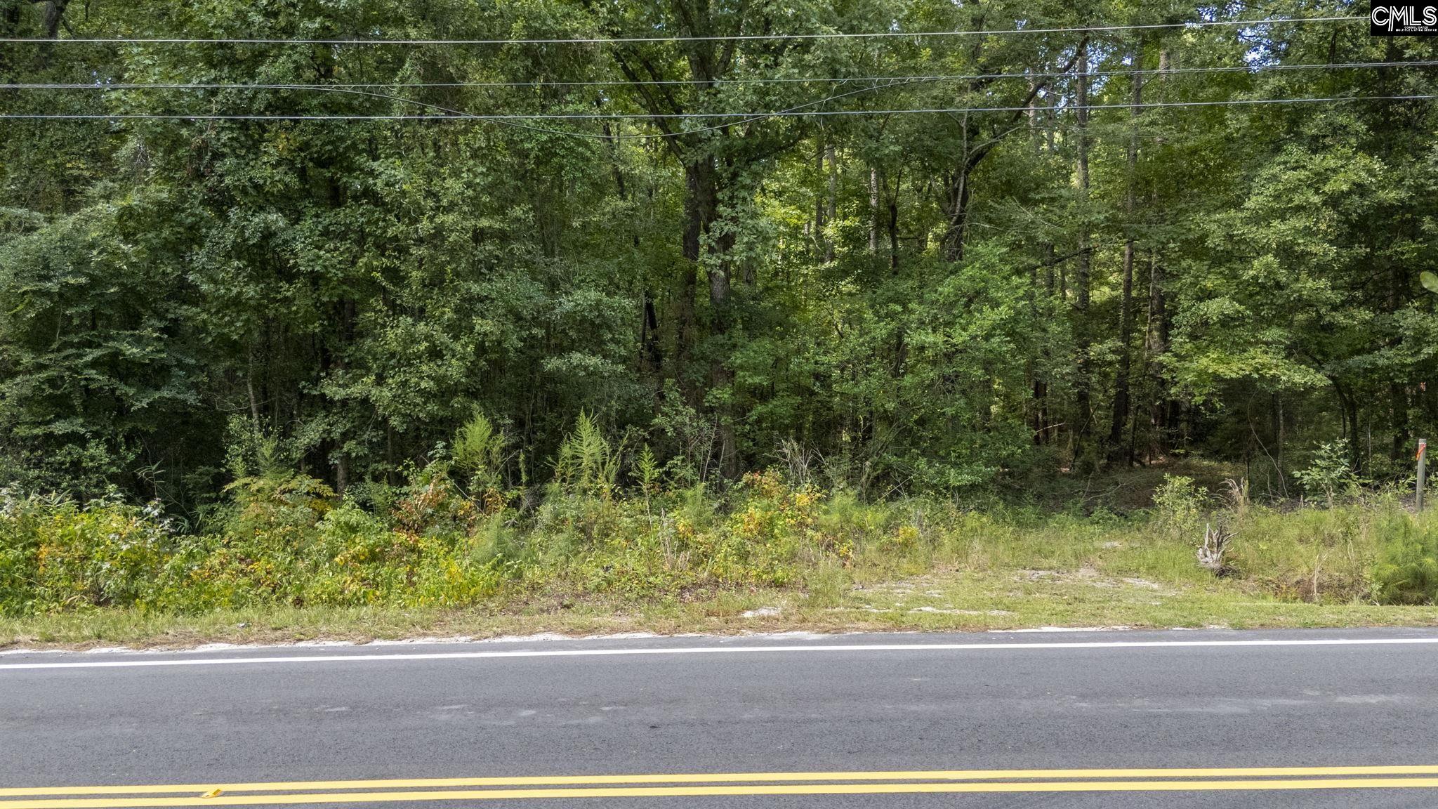 TBD Jessamine Road Lexington, SC 29073
