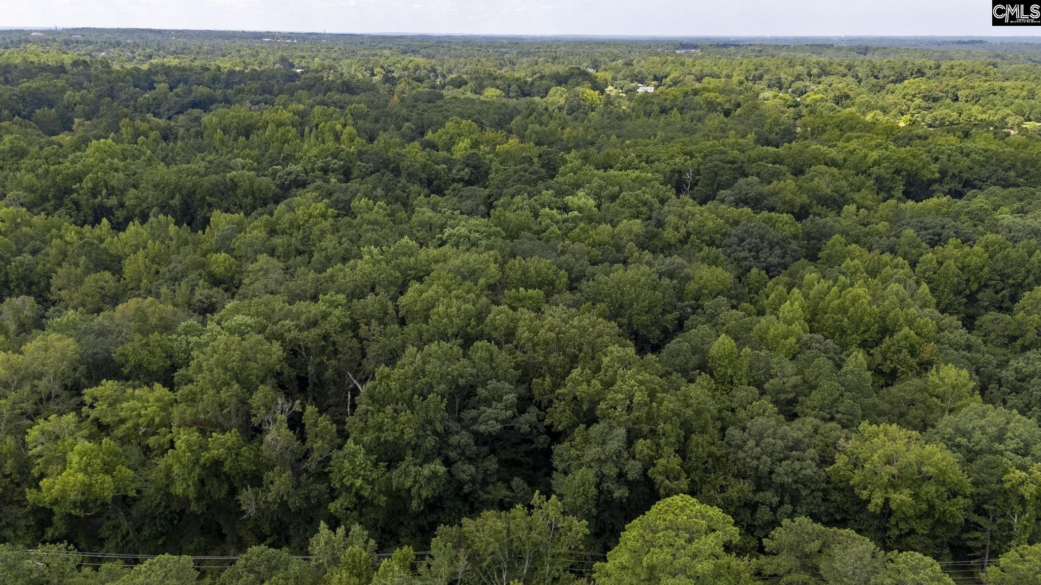 TBD Jessamine Road Lexington, SC 29073