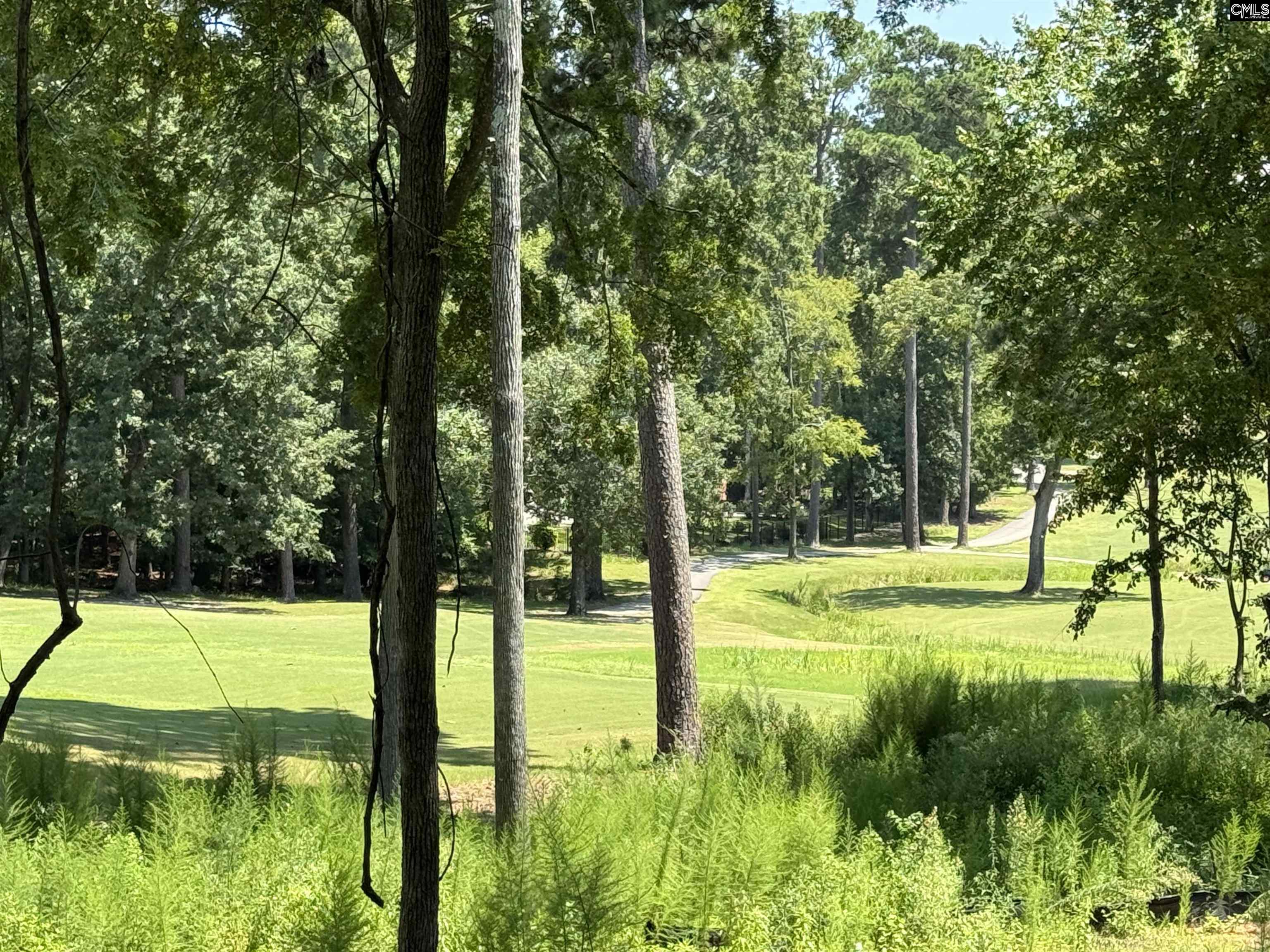 1037 Refuge Place, Chapin, South Carolina image 2