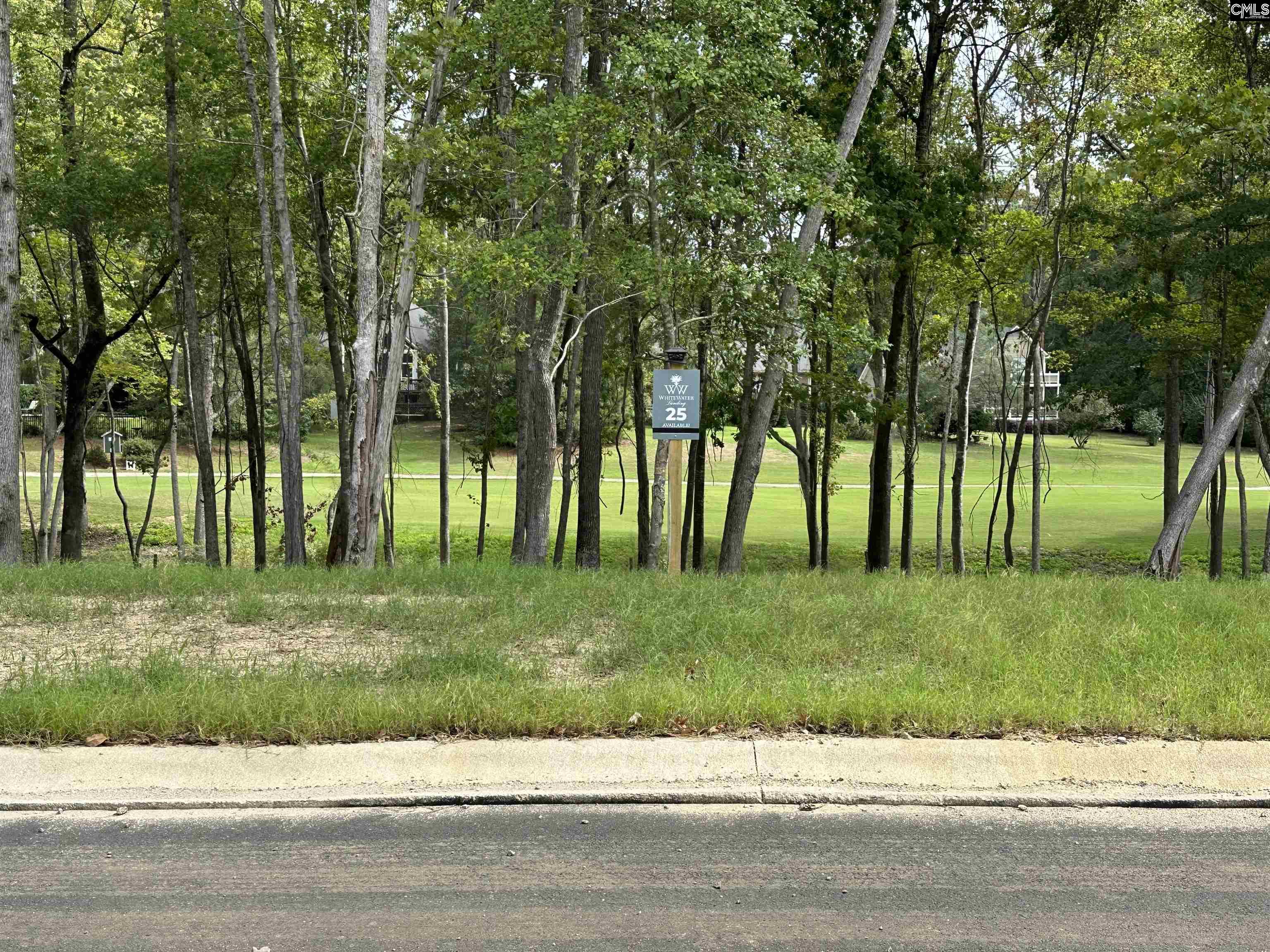 1037 Refuge Place, Chapin, South Carolina image 14
