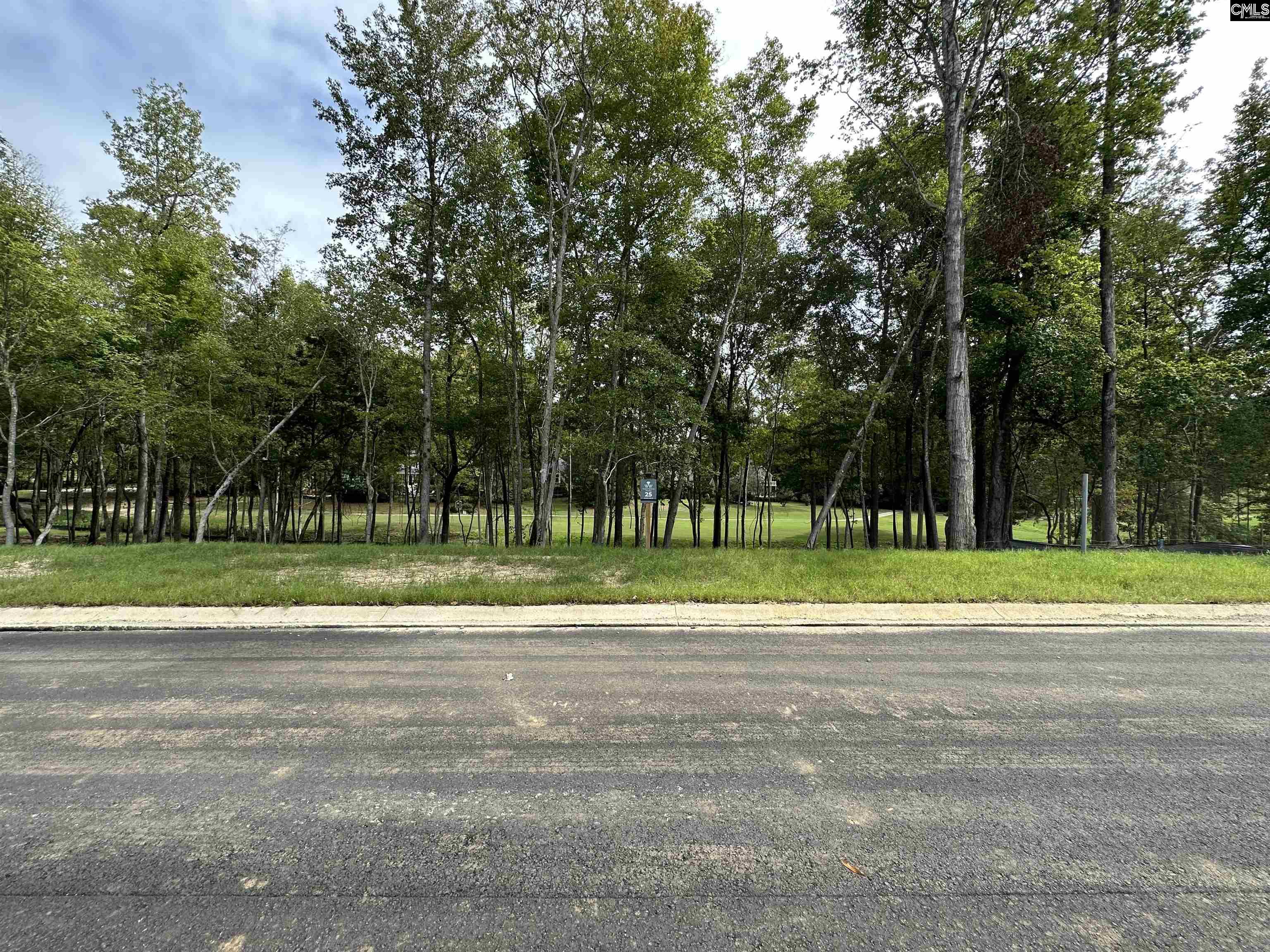 1037 Refuge Place, Chapin, South Carolina image 15