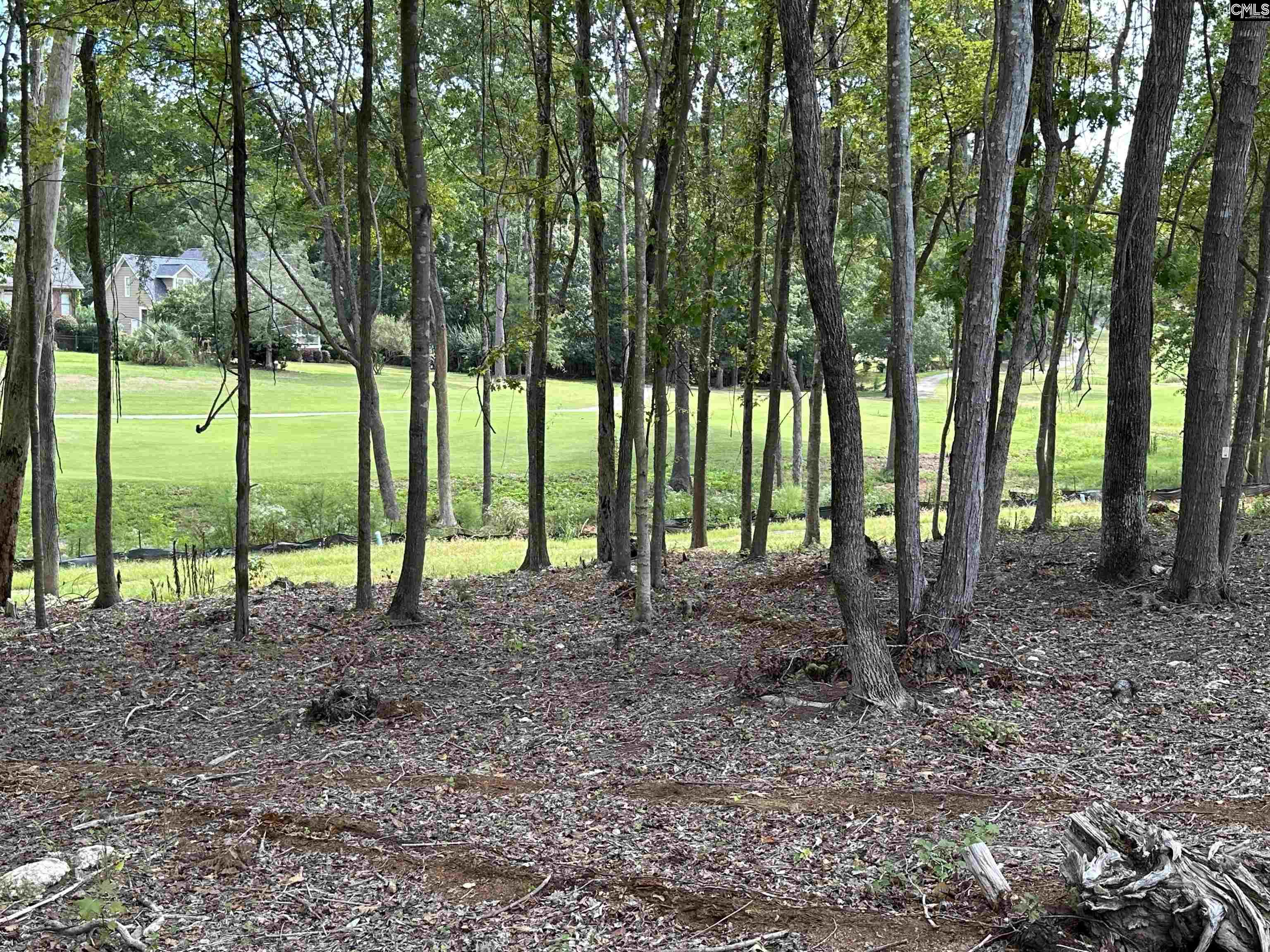 1037 Refuge Place, Chapin, South Carolina image 18