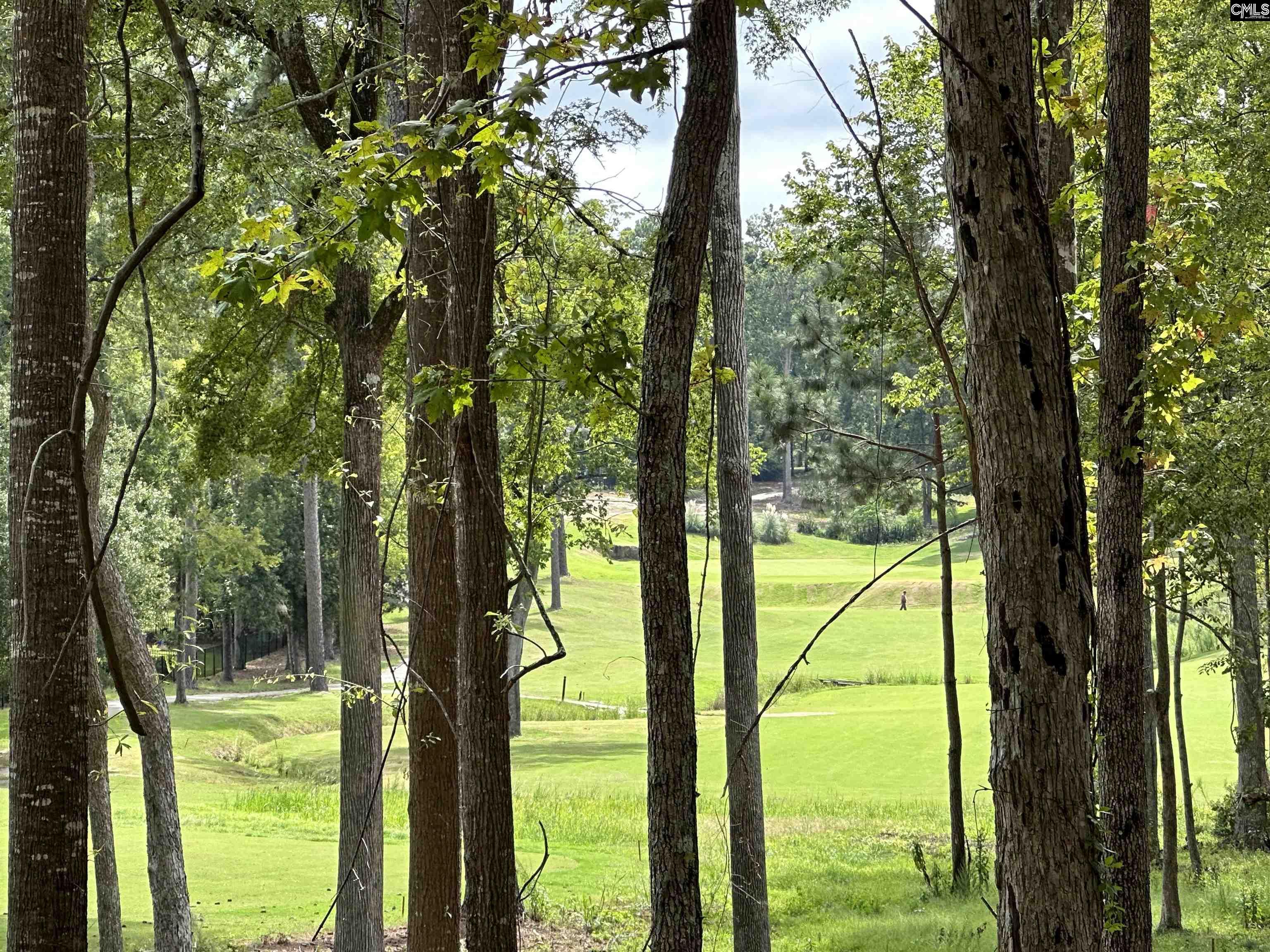 1037 Refuge Place, Chapin, South Carolina image 19