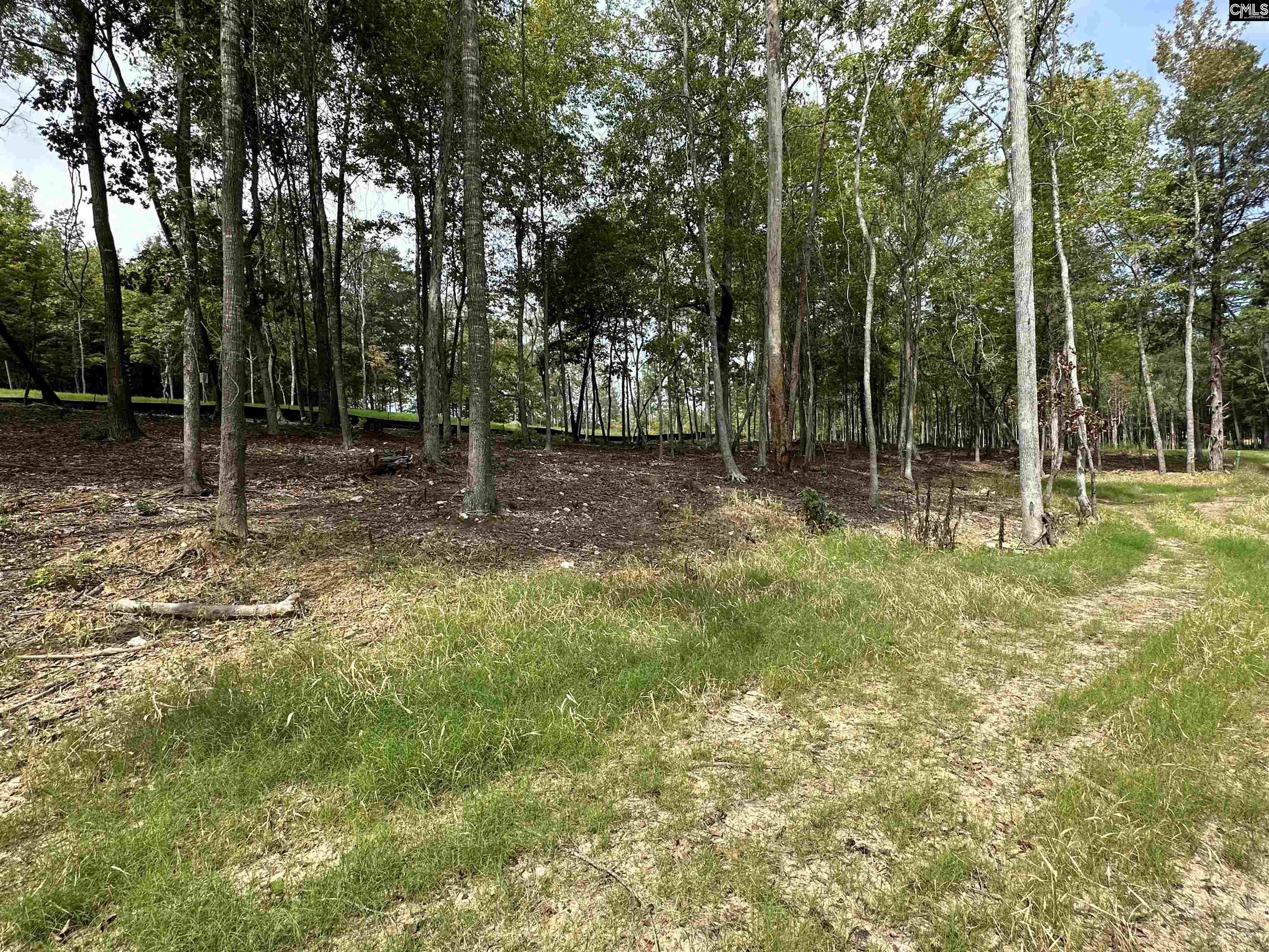 1037 Refuge Place, Chapin, South Carolina image 25