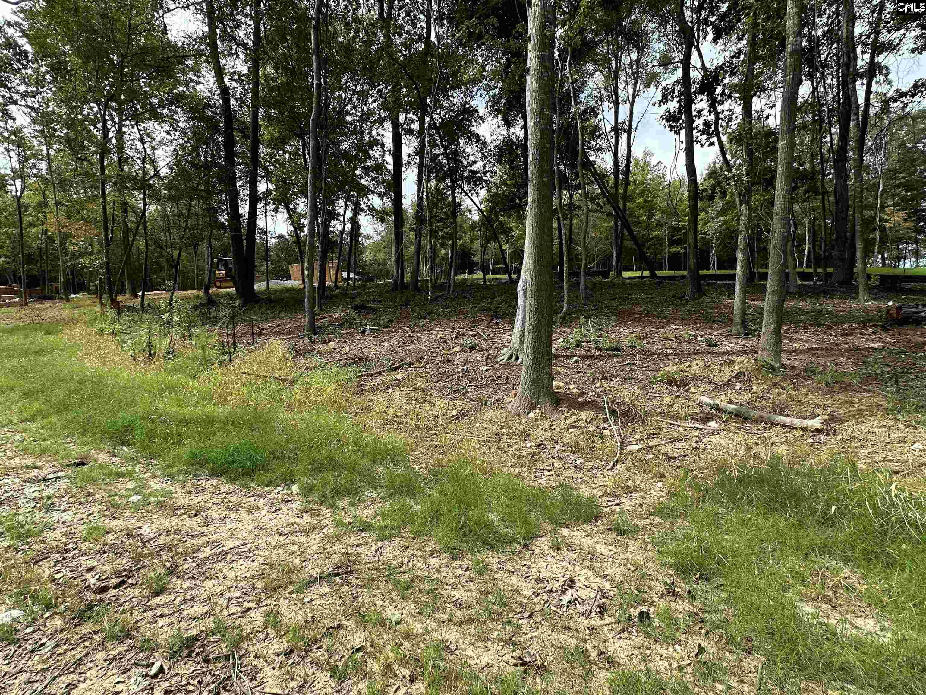 1037 Refuge Place, Chapin, South Carolina image 26