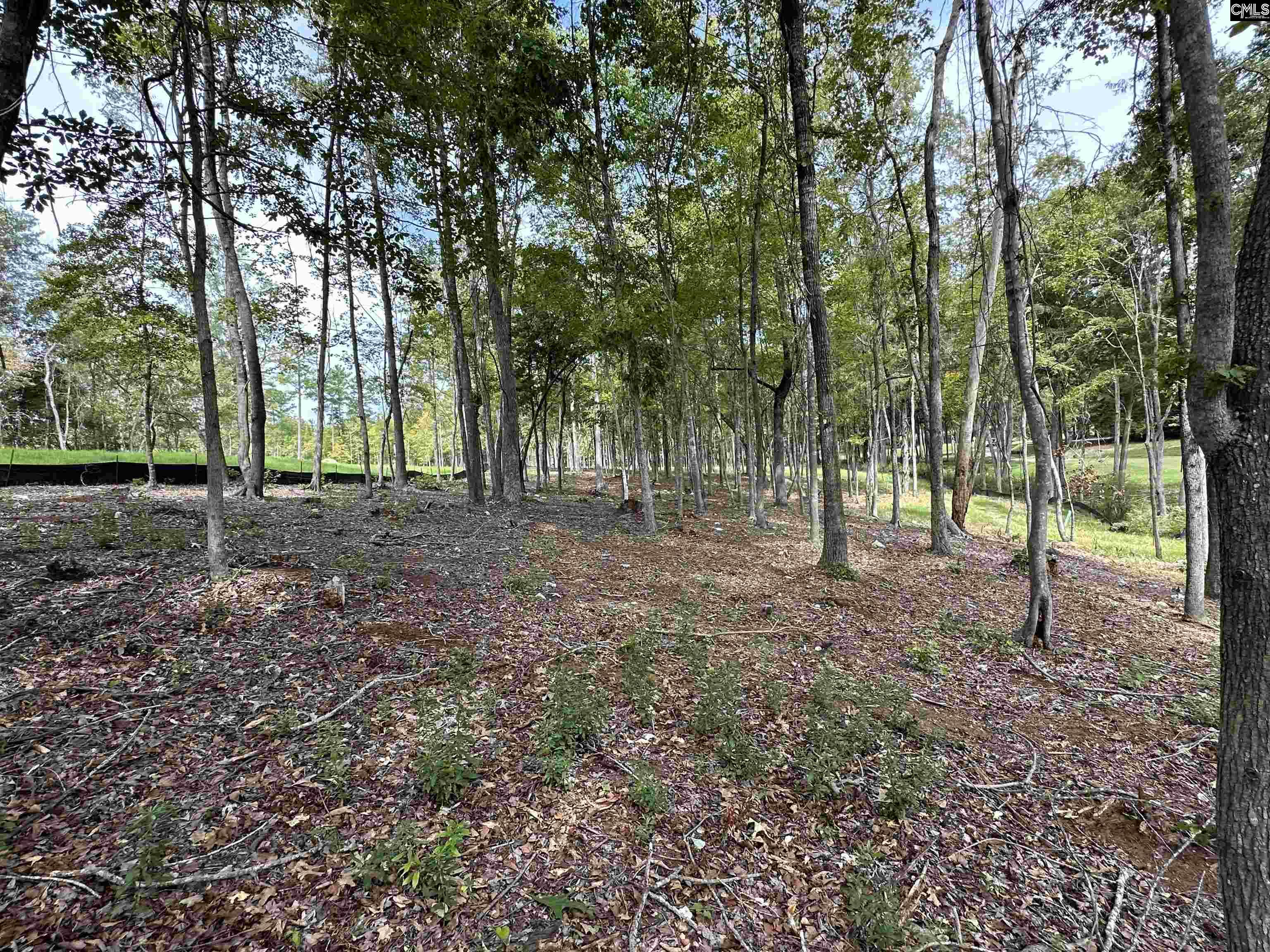 1037 Refuge Place, Chapin, South Carolina image 29