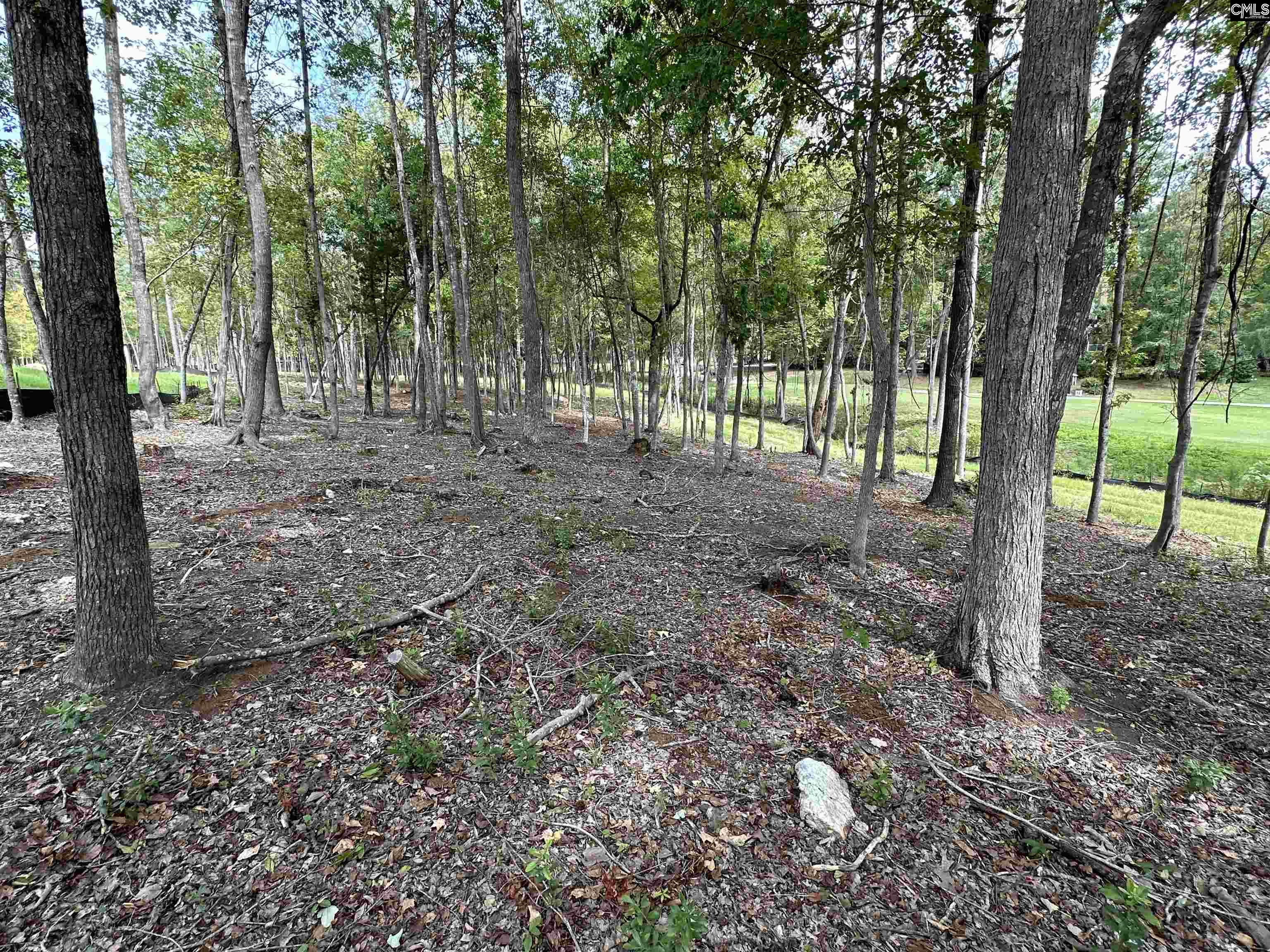 1037 Refuge Place, Chapin, South Carolina image 30