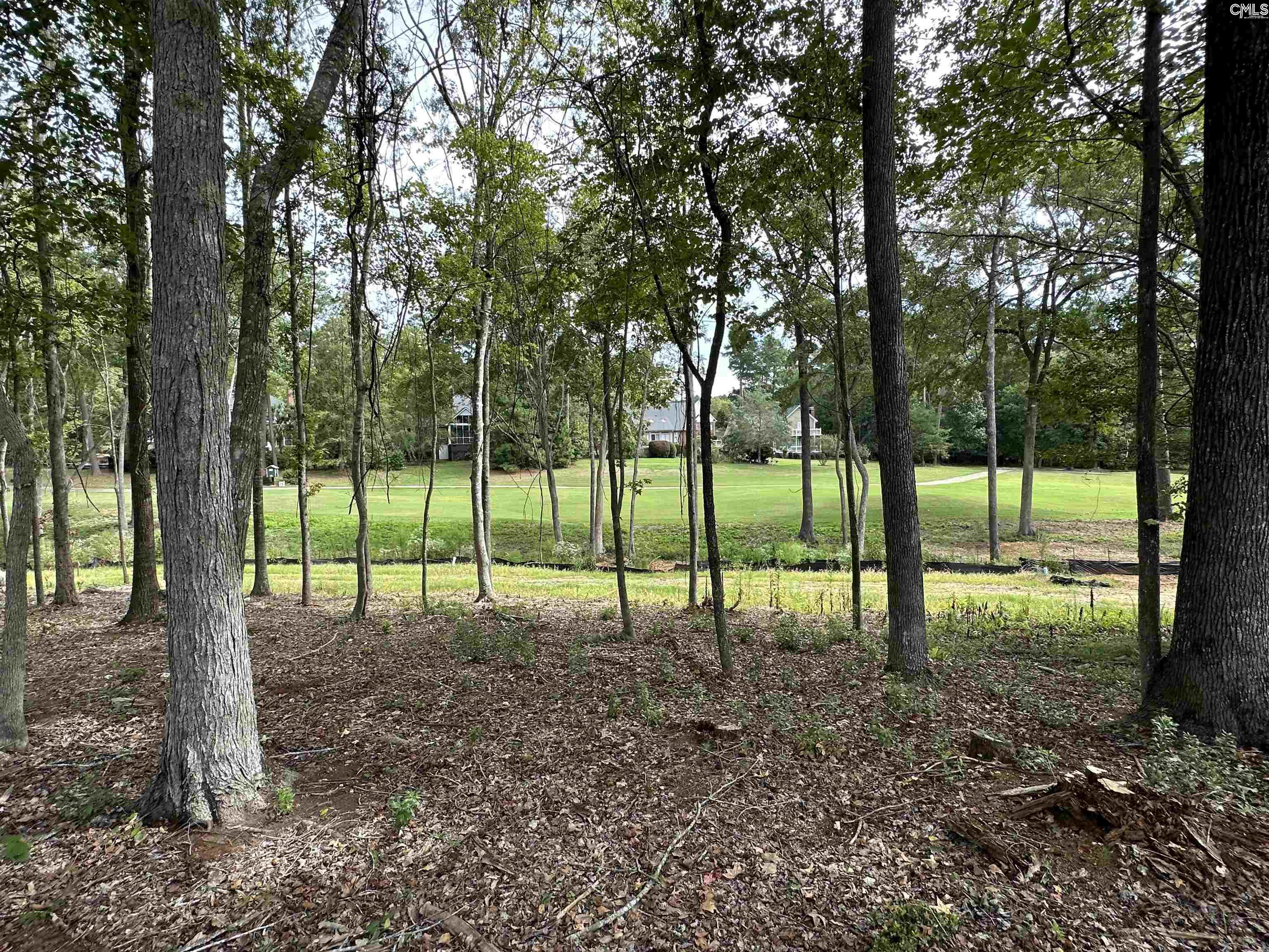 1037 Refuge Place, Chapin, South Carolina image 31