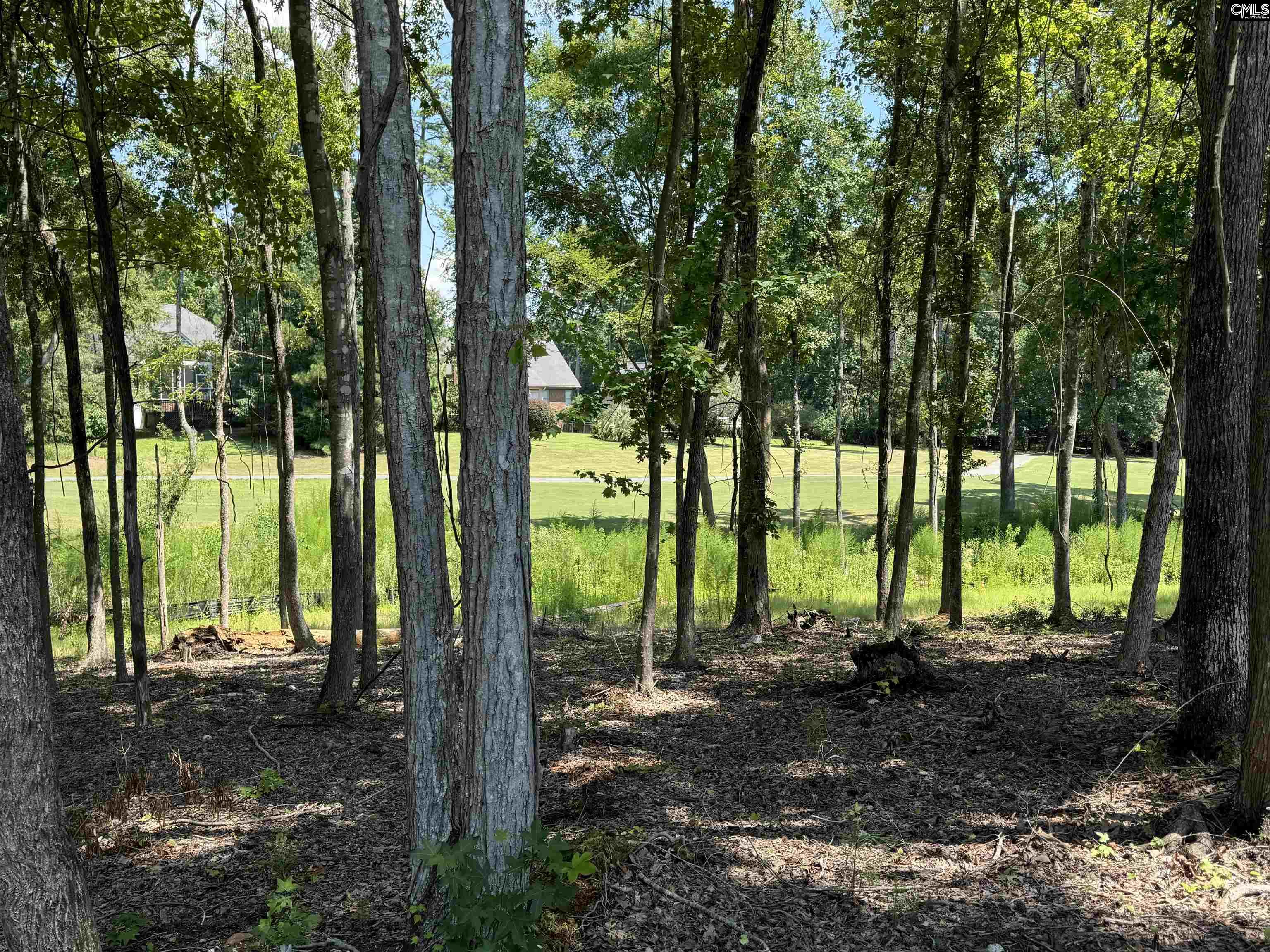 1037 Refuge Place, Chapin, South Carolina image 10
