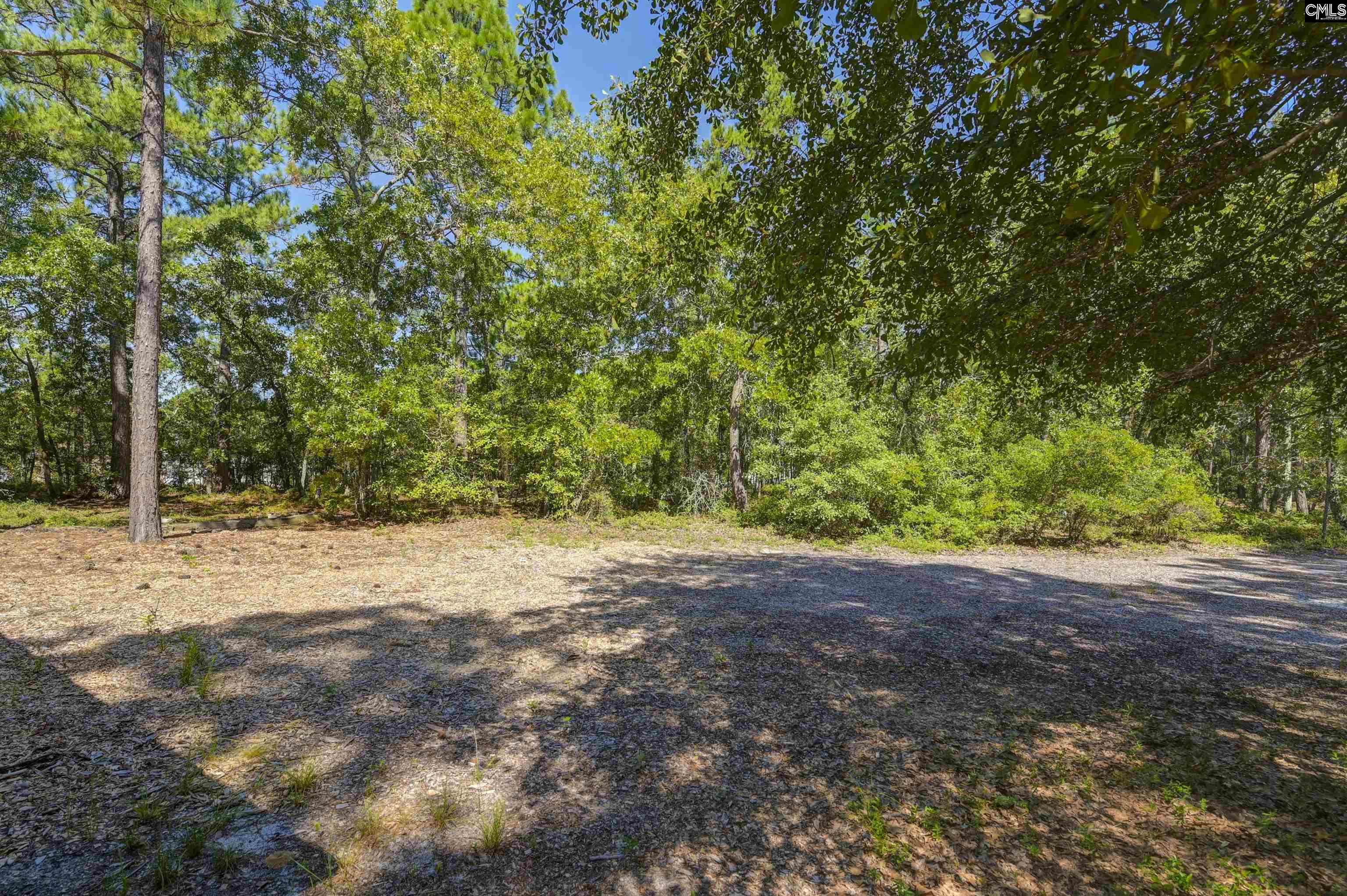 139 Furtick Road, Swansea, South Carolina image 17