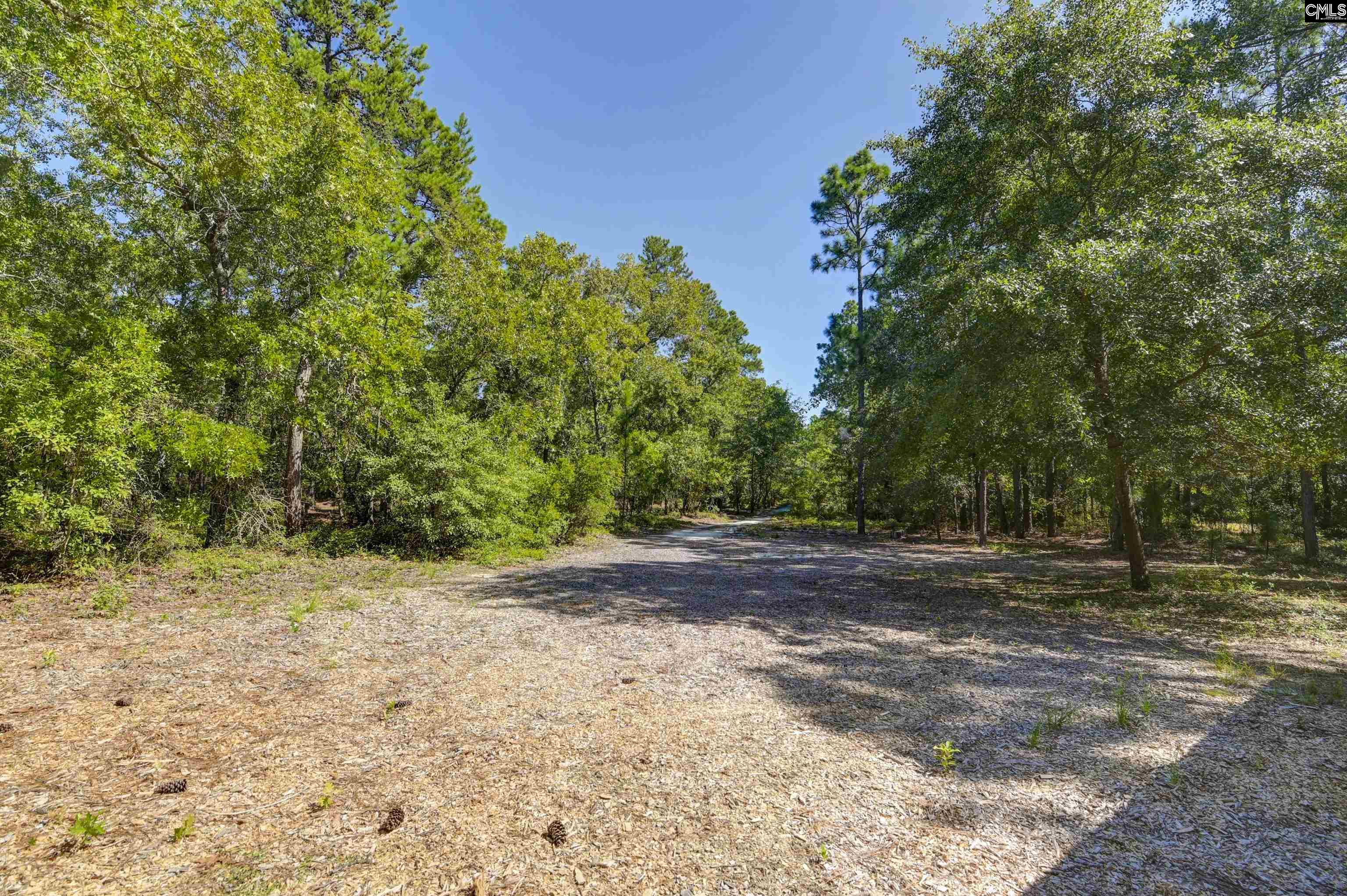 139 Furtick Road, Swansea, South Carolina image 18