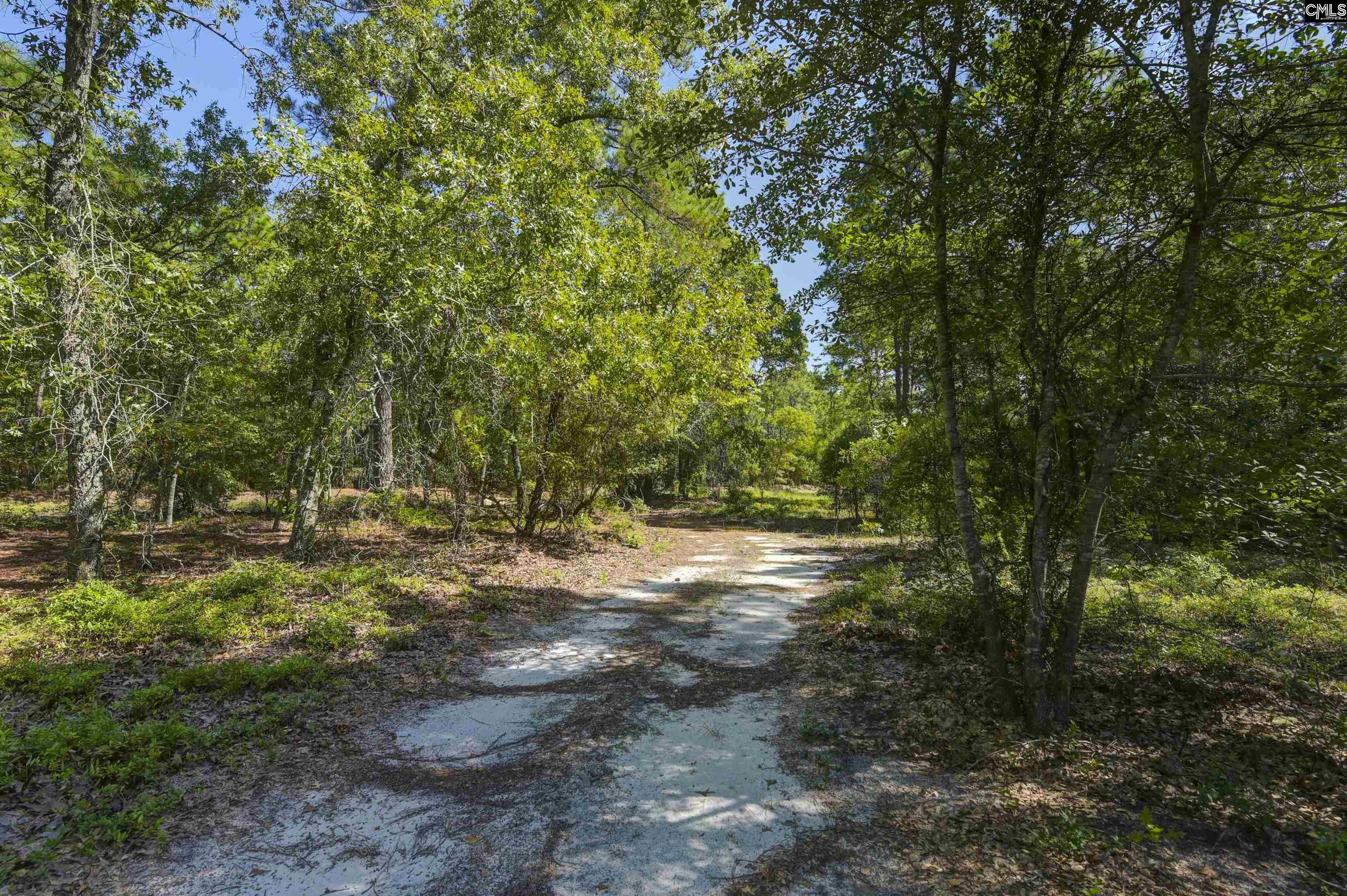 139 Furtick Road, Swansea, South Carolina image 4