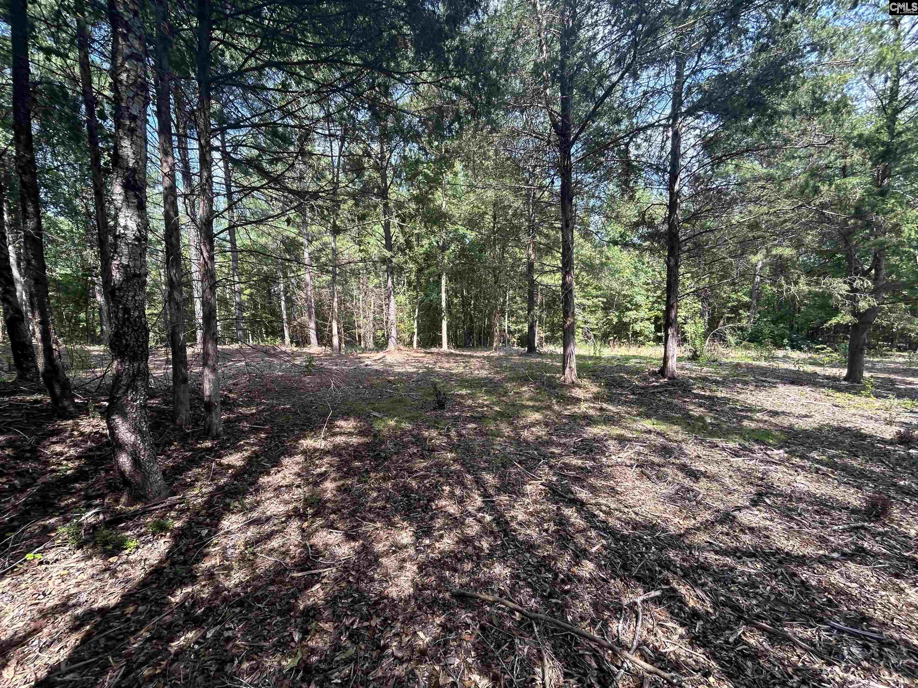 5630 Woodsferry Road, Carlisle, South Carolina image 11